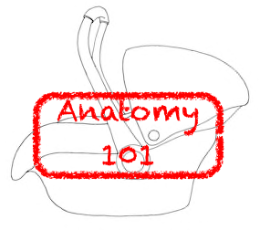 Anatomy of a Car Seat