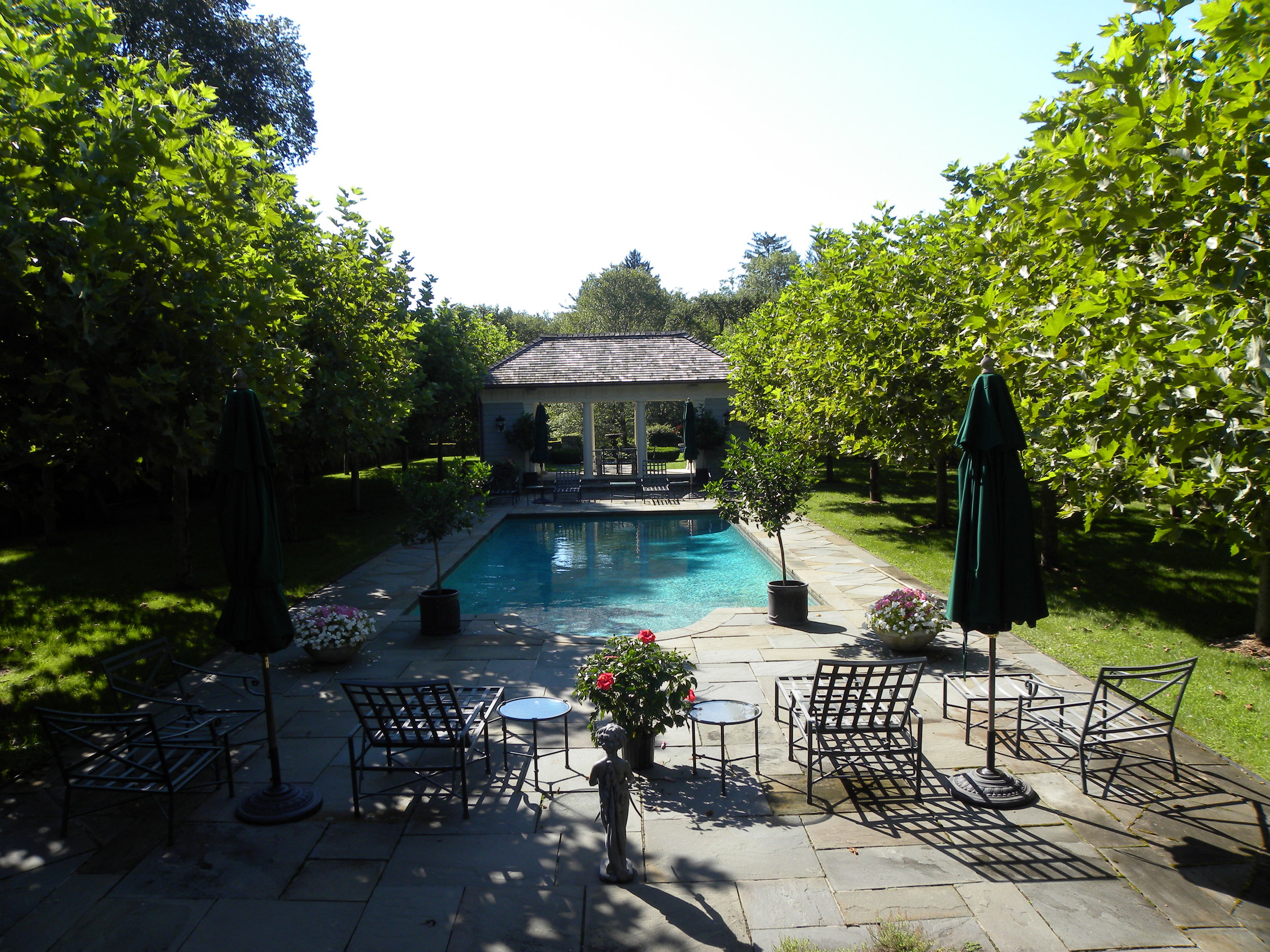 8232010 farm shiverick 028.JPG