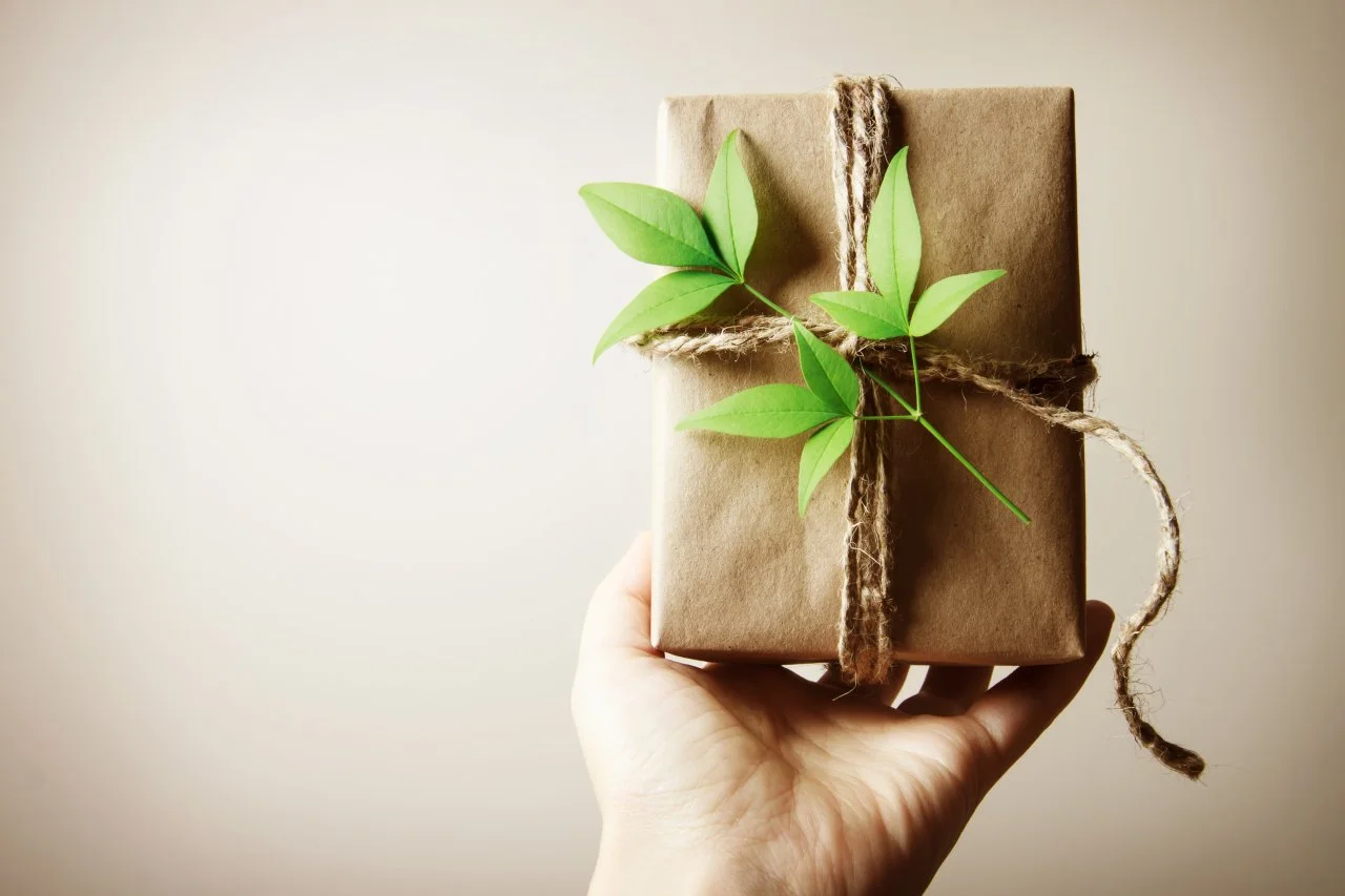 2016 Mindful Holiday Gift Guide