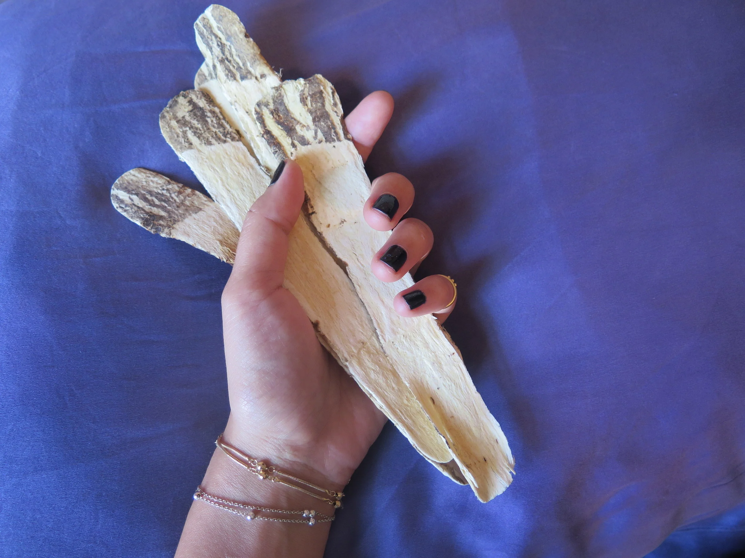 Adaptogen Spotlight: The Most Powerful Energy Tonic in the World?