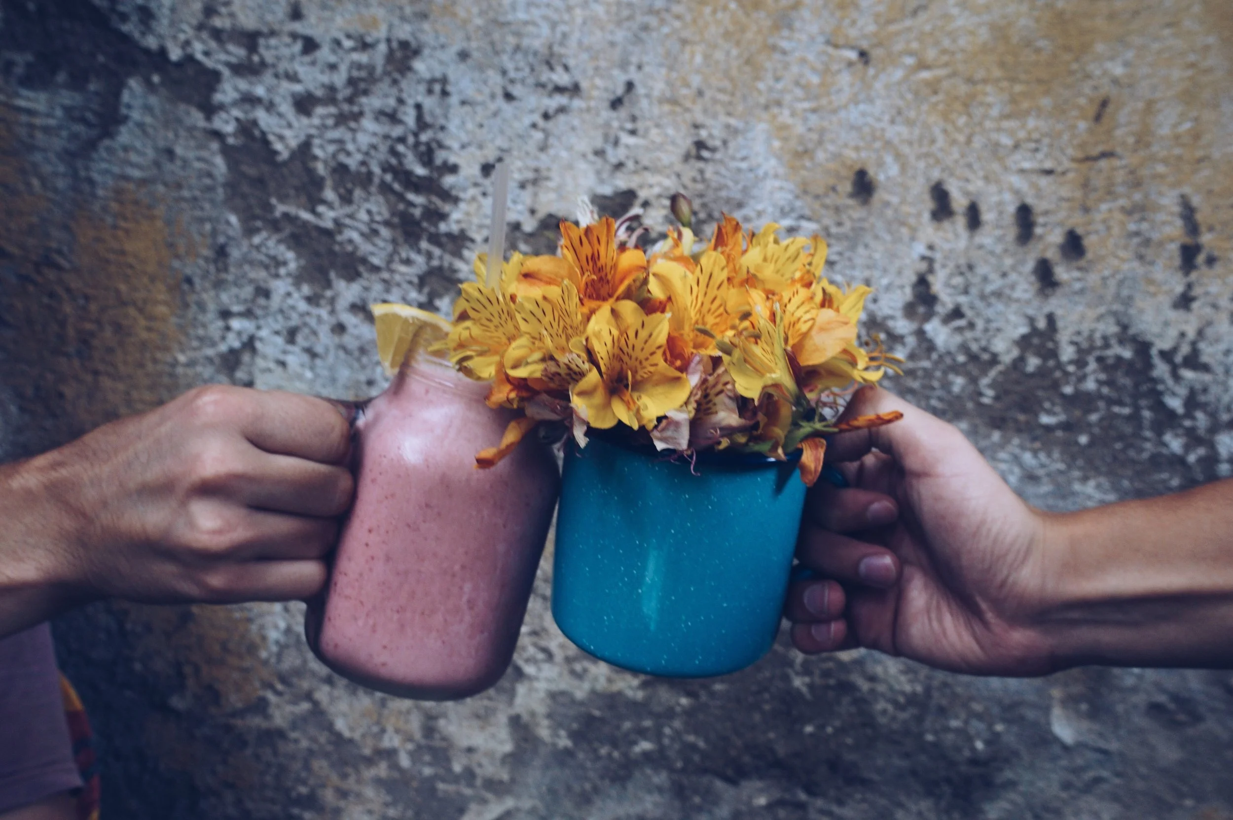 uwm.immunesystem.hand-flower-food-spring-color-soil-59345-pxhere.com