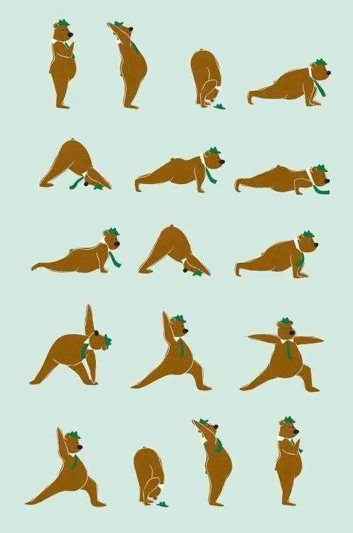yogibear
