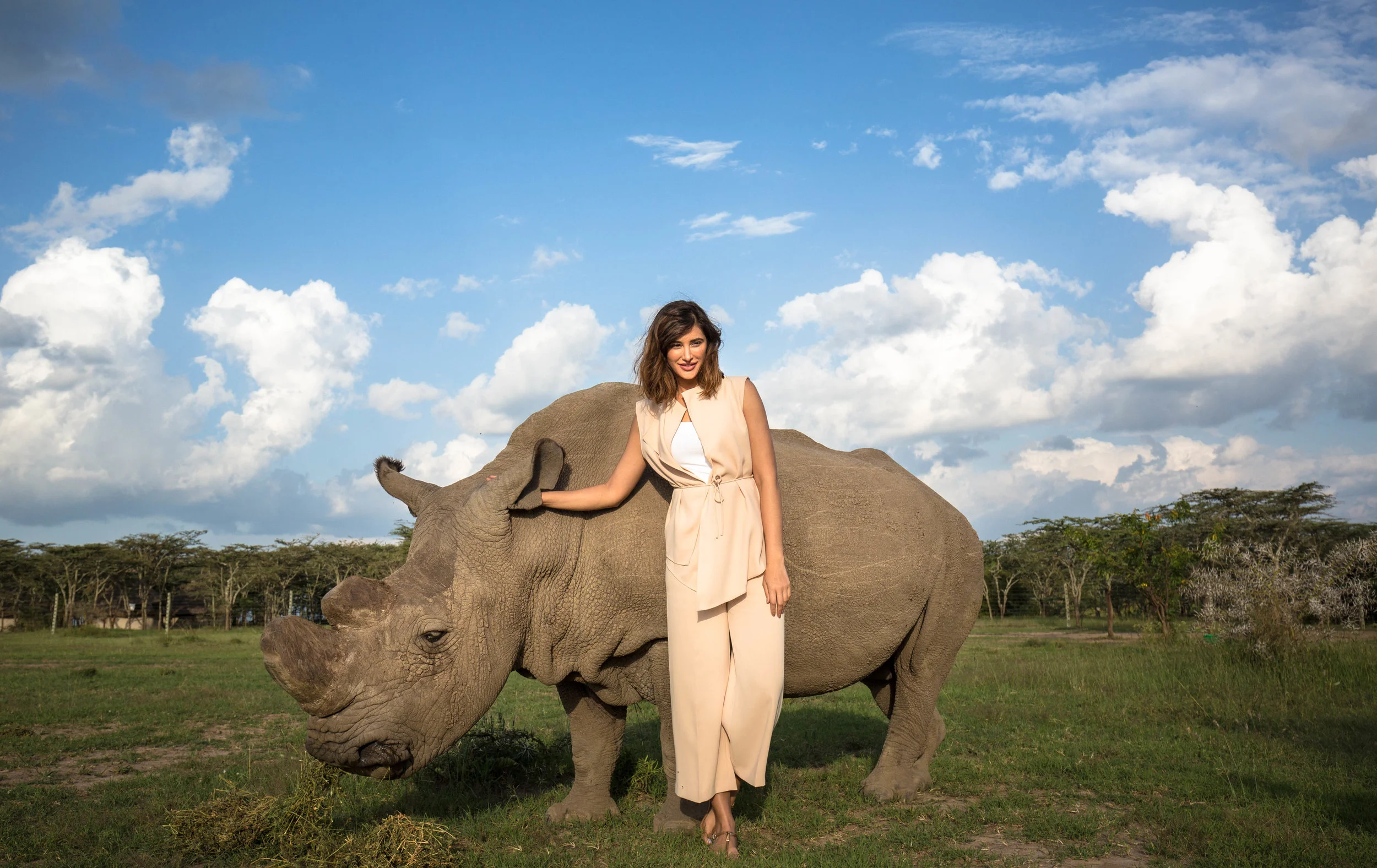 uwm.sudan.northernwhiterhino.20732859080_045e5a5ac9_o.jpg