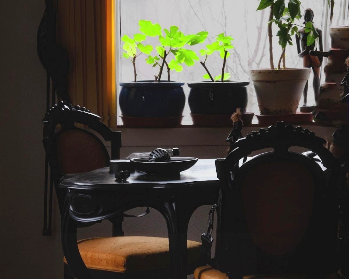 Wellness for the Indoors: Clean Air, Cool Minds