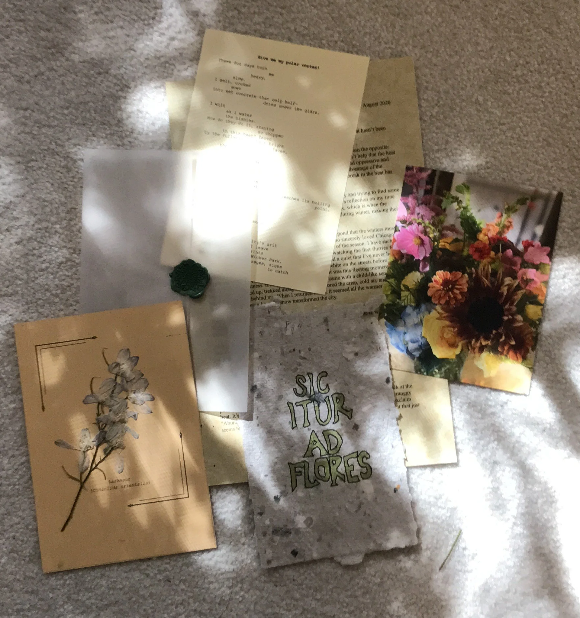 The Botanical Post: August 2026 Edition