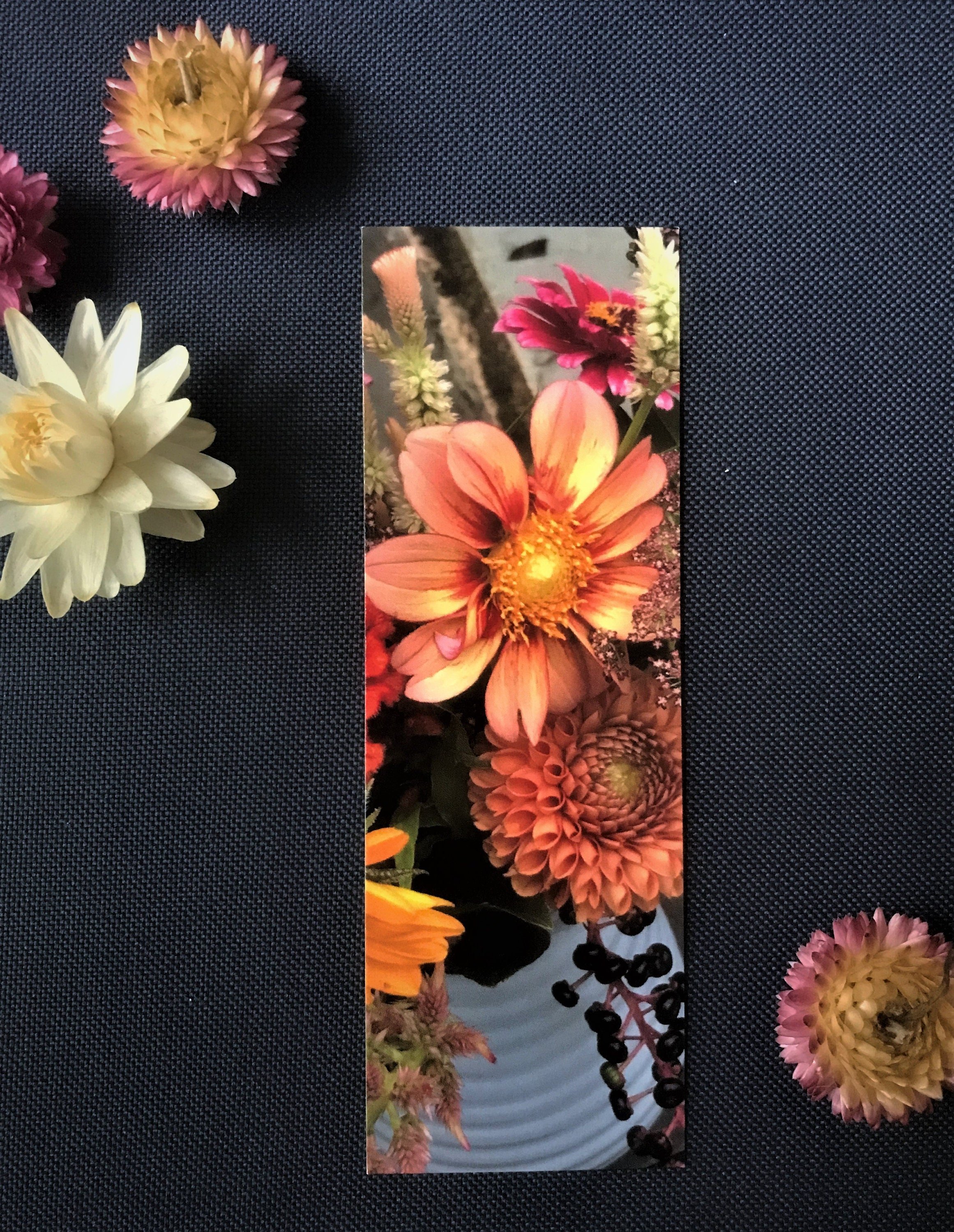 https://i.etsystatic.com/35655715/r/il/da85ba/3925518019/il_fullxfull.3925518019_cny3.jpg