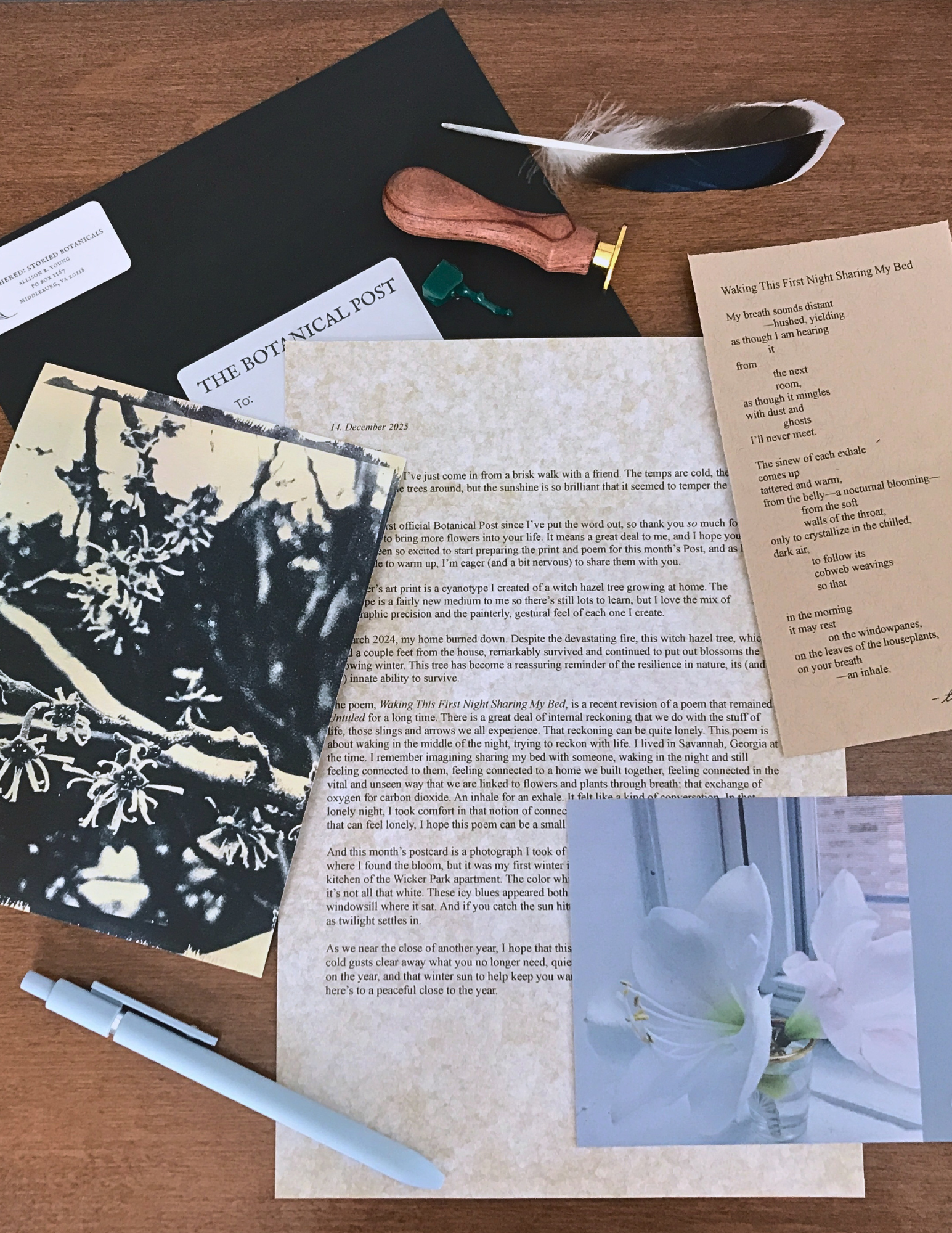 The Botanical Post: December 2025 Edition
