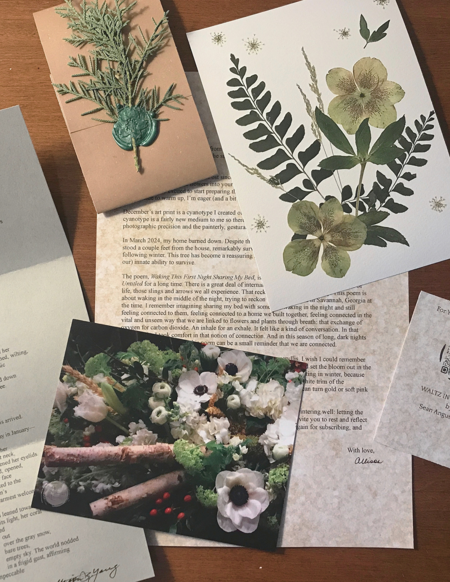 The Botanical Post: January 2026 Edition