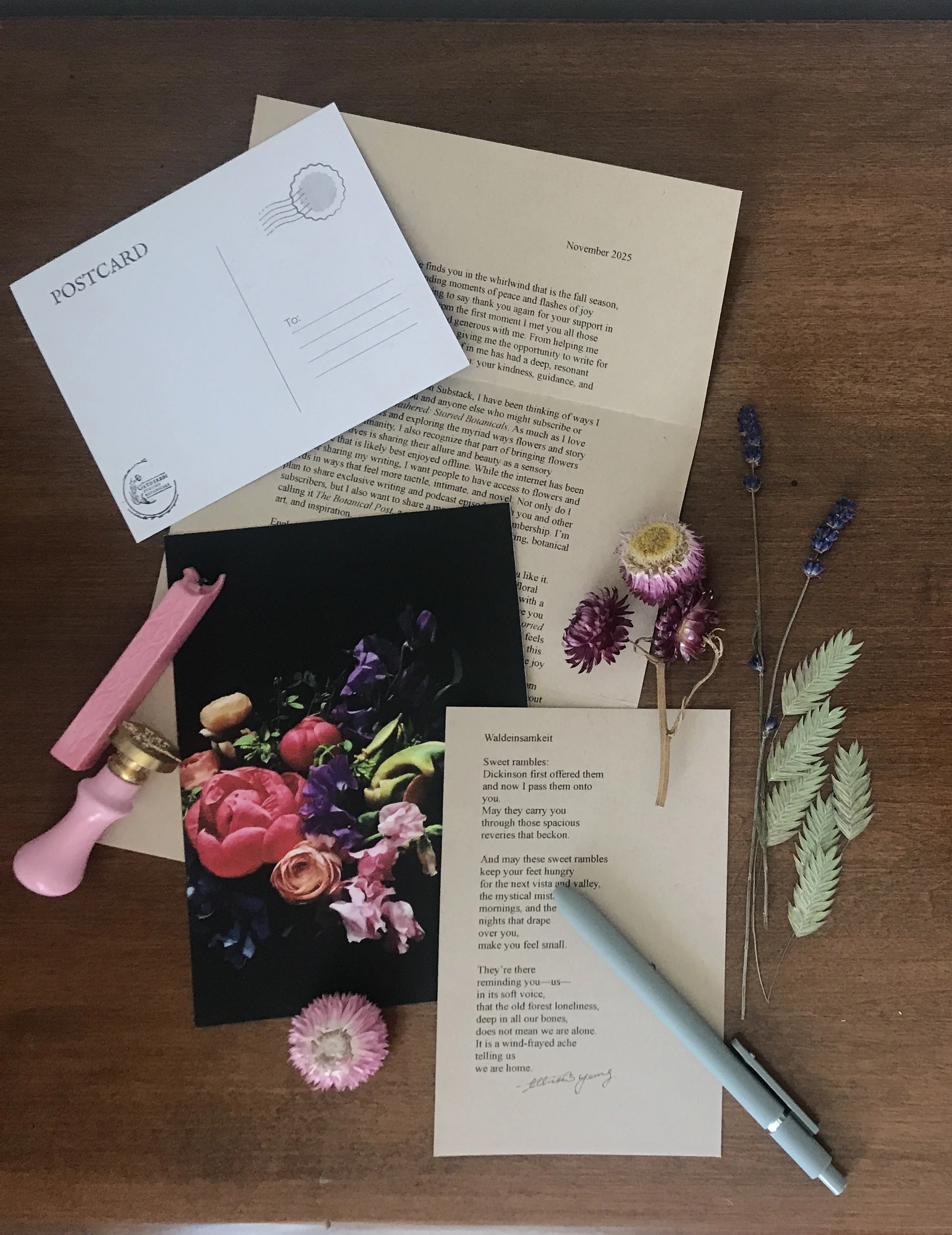 The Botanical Post: November Edition
