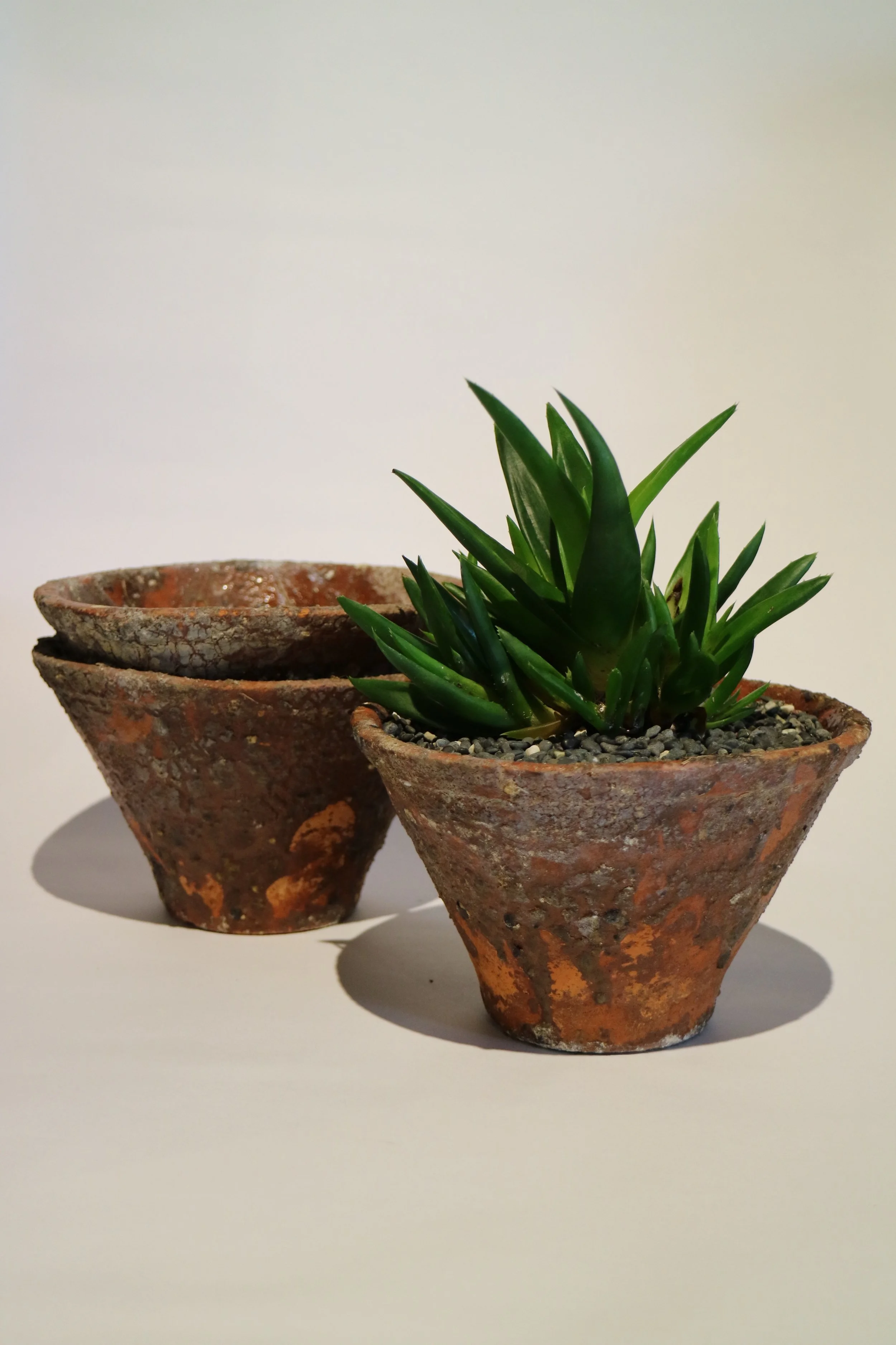 Terracotta 'Textured" Pots