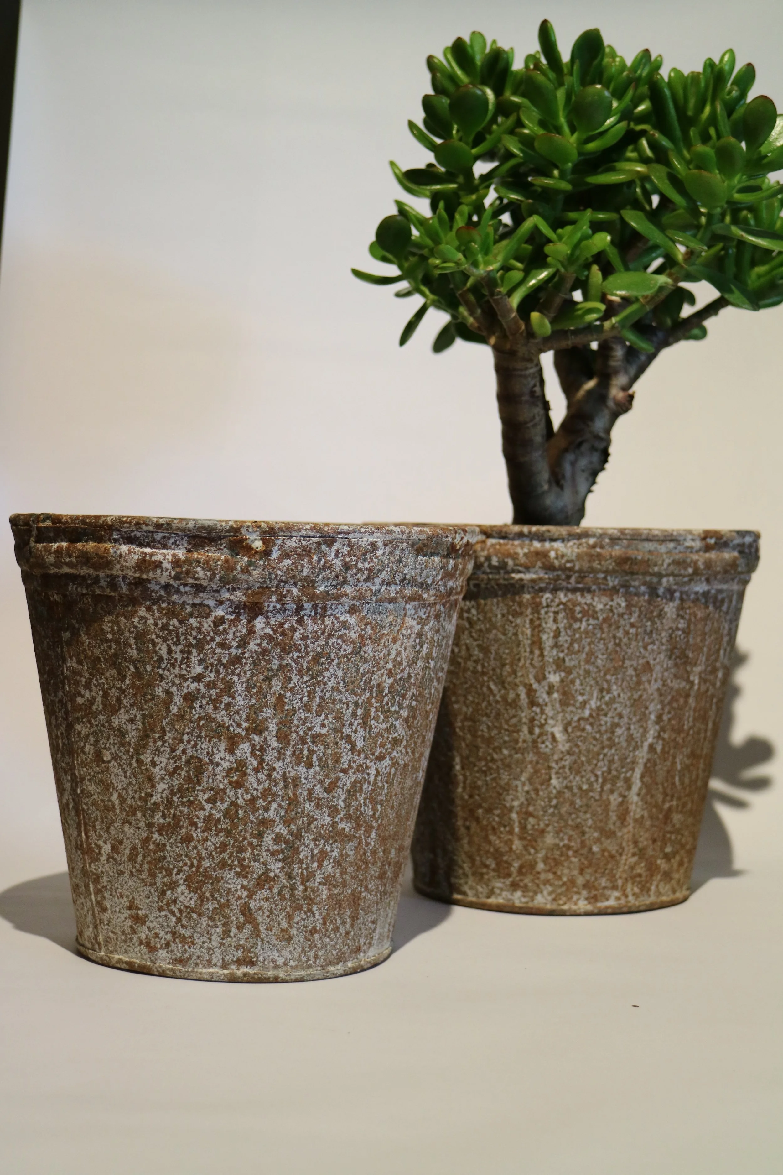 Zinc Coated Metal Pots