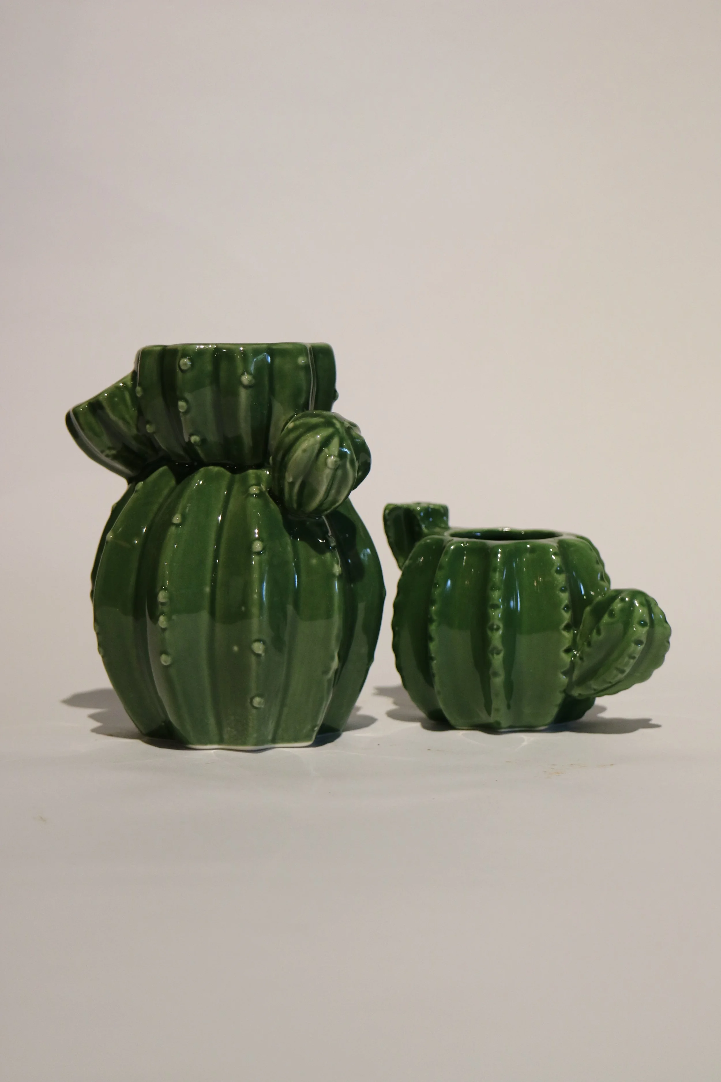 Pottery Cactus Pots