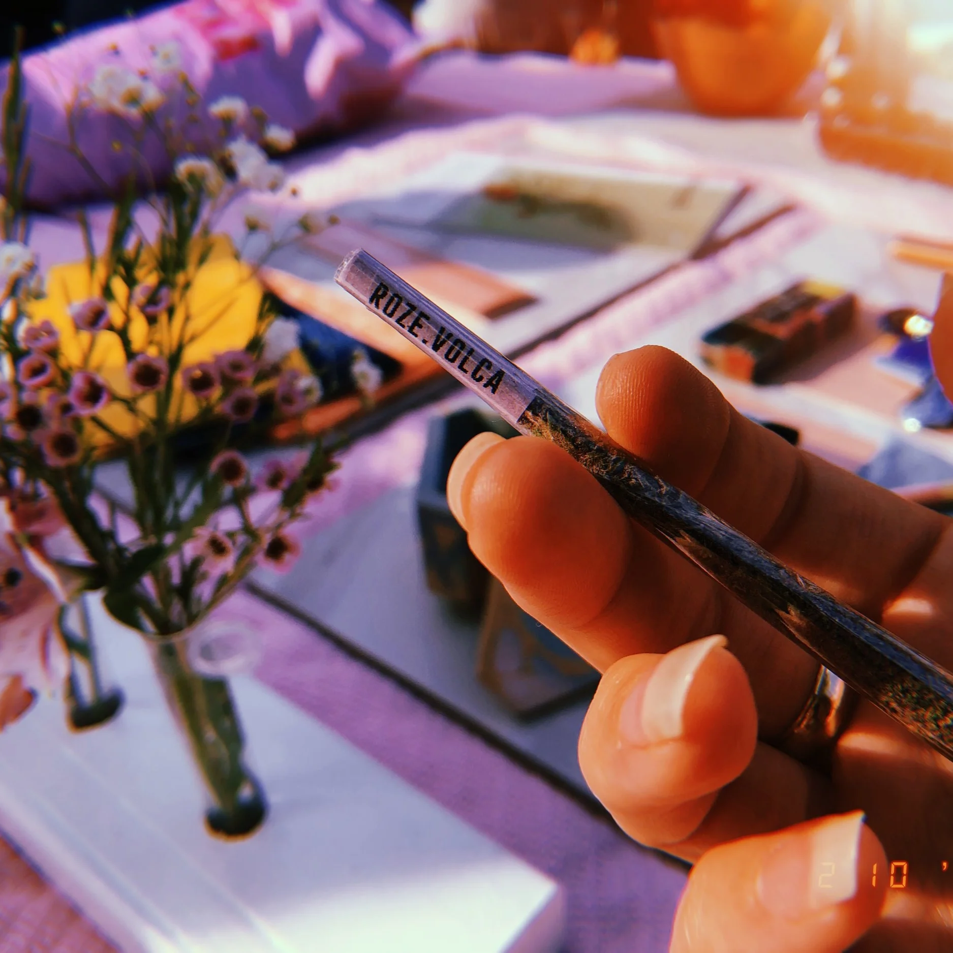 I got high with RV: Echo Park 