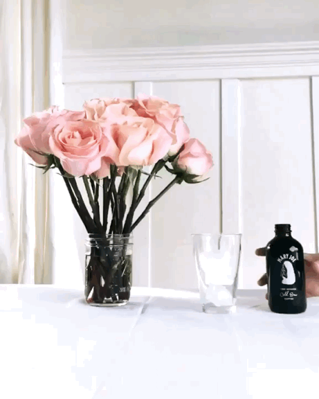 VideoToGif_1518548465.4785.gif