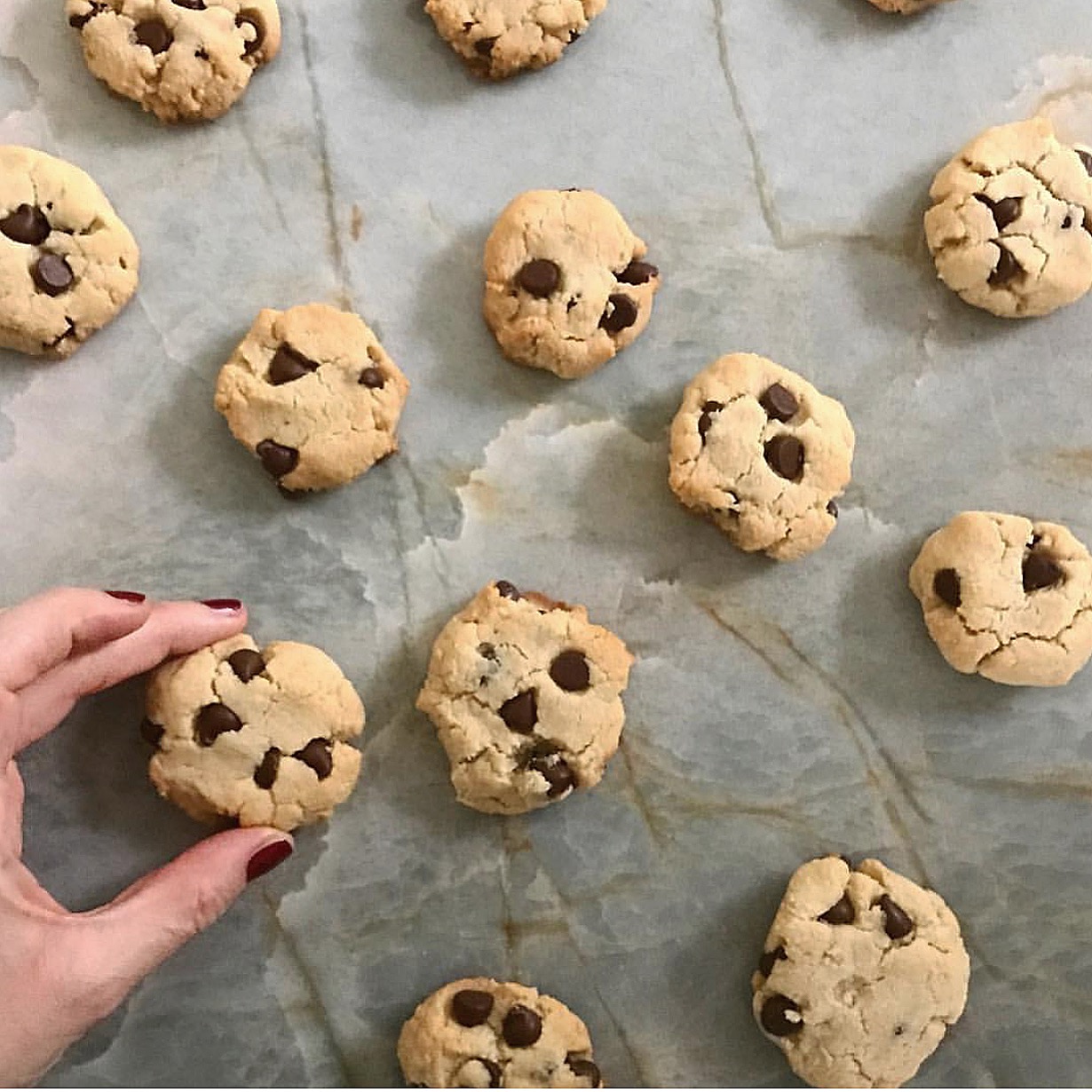 Easy Vegan Chocolate Chip Cookies