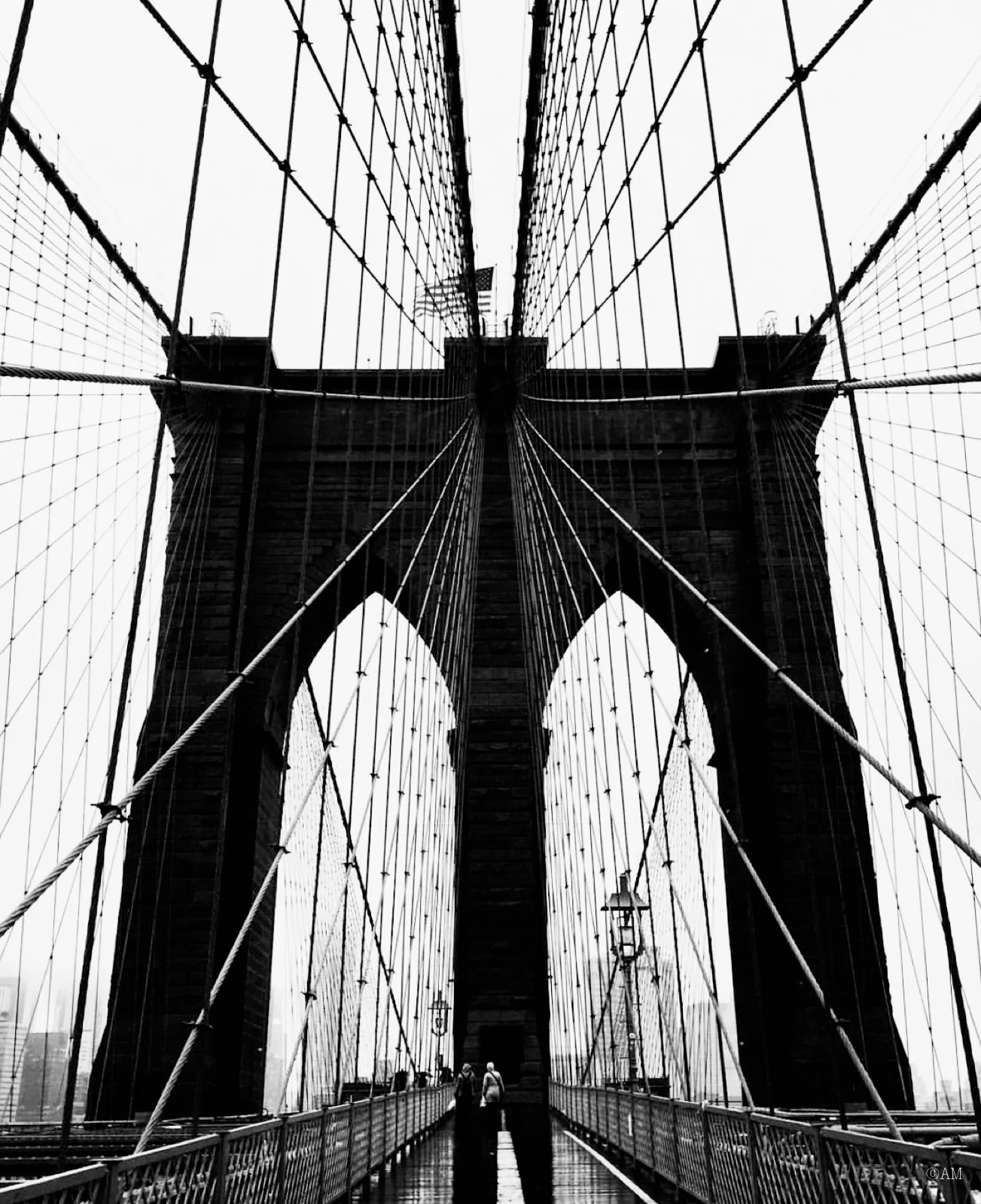 The Brooklyn Bridge was the first steel-wire suspension bridge ever built.