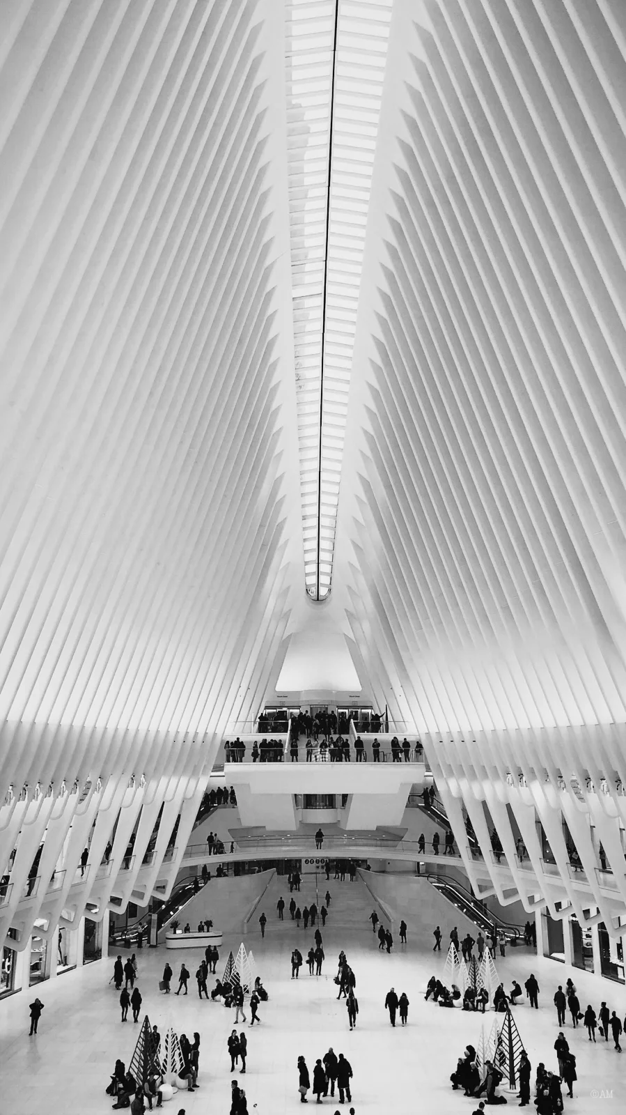 Inside the World Trade Center Transportation Hub.