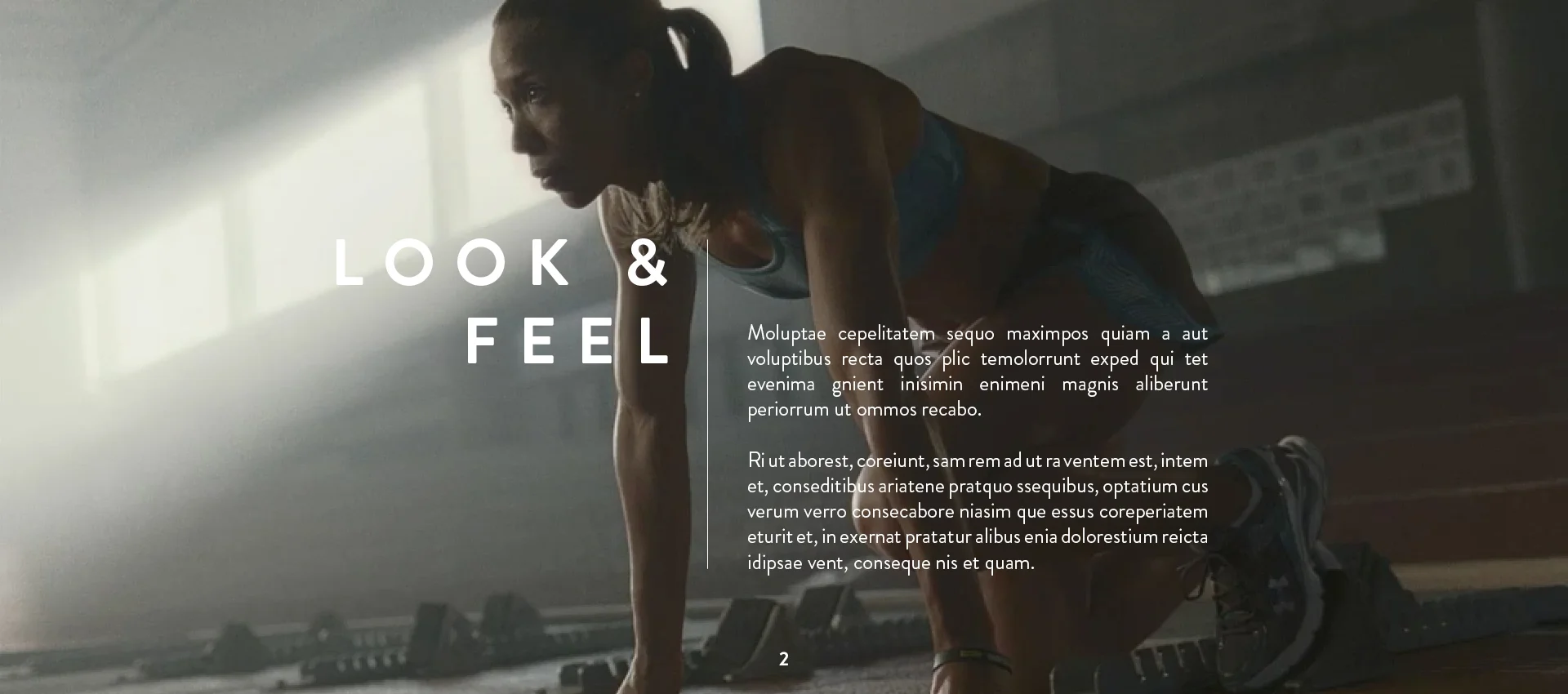 Adidas_Portfolio2.jpg