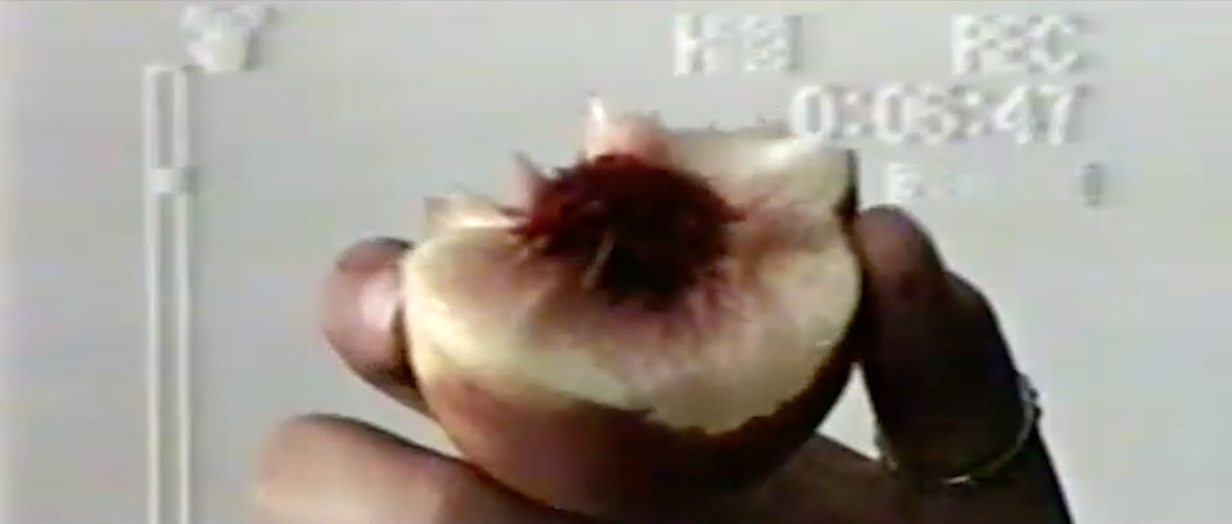 Screen Shot 2019-10-10 at 11.49.15 PM.png