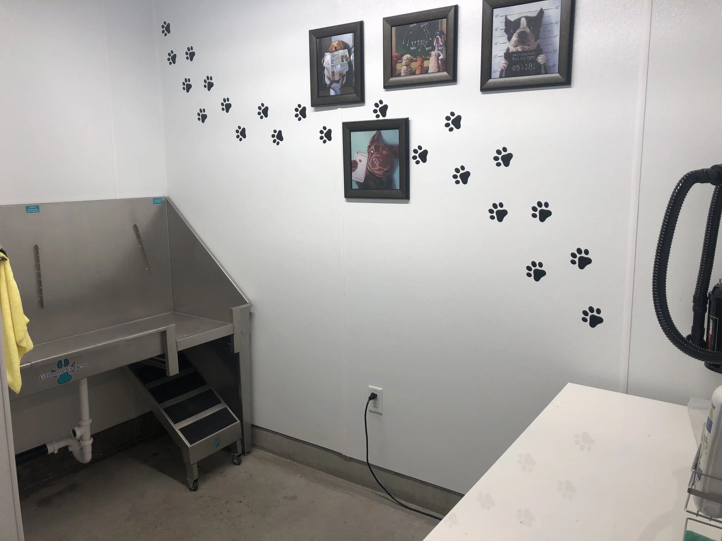 Dog Wash
