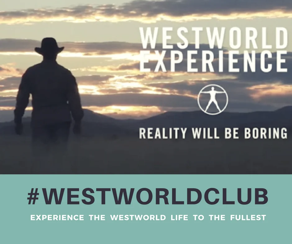 Looking for an adventure?.jpg