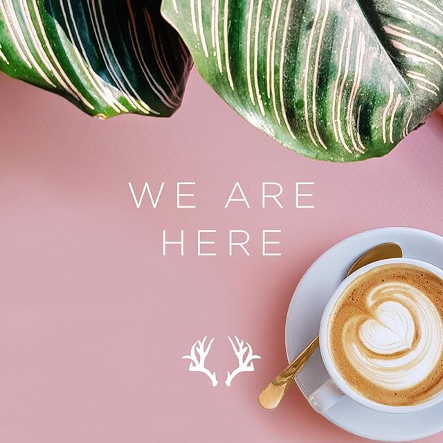 Just a reminder: we are here. Whether you require our skills, or just need someone to talk to. We can get through this together!

#townsvilleshines #townsvillebusiness #supportlocal #reminder #graphicdesign