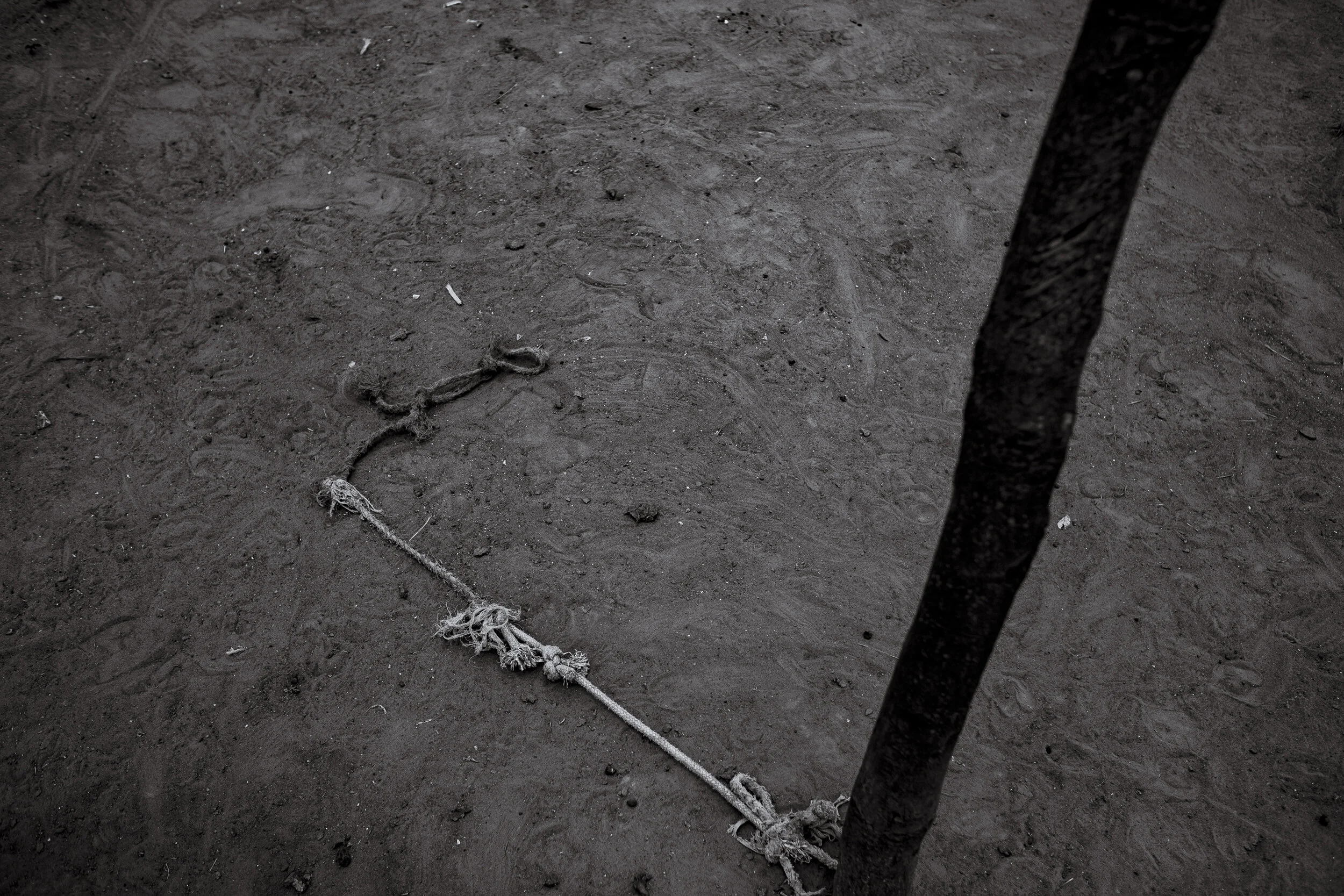  Soroti District. Goats are untethered during the day, allowing them to roam freely and feed. Seen as valuable property, any violence towards them is treated with the utmost urgency. Conversely, abuse towards a child with disability when untethered i