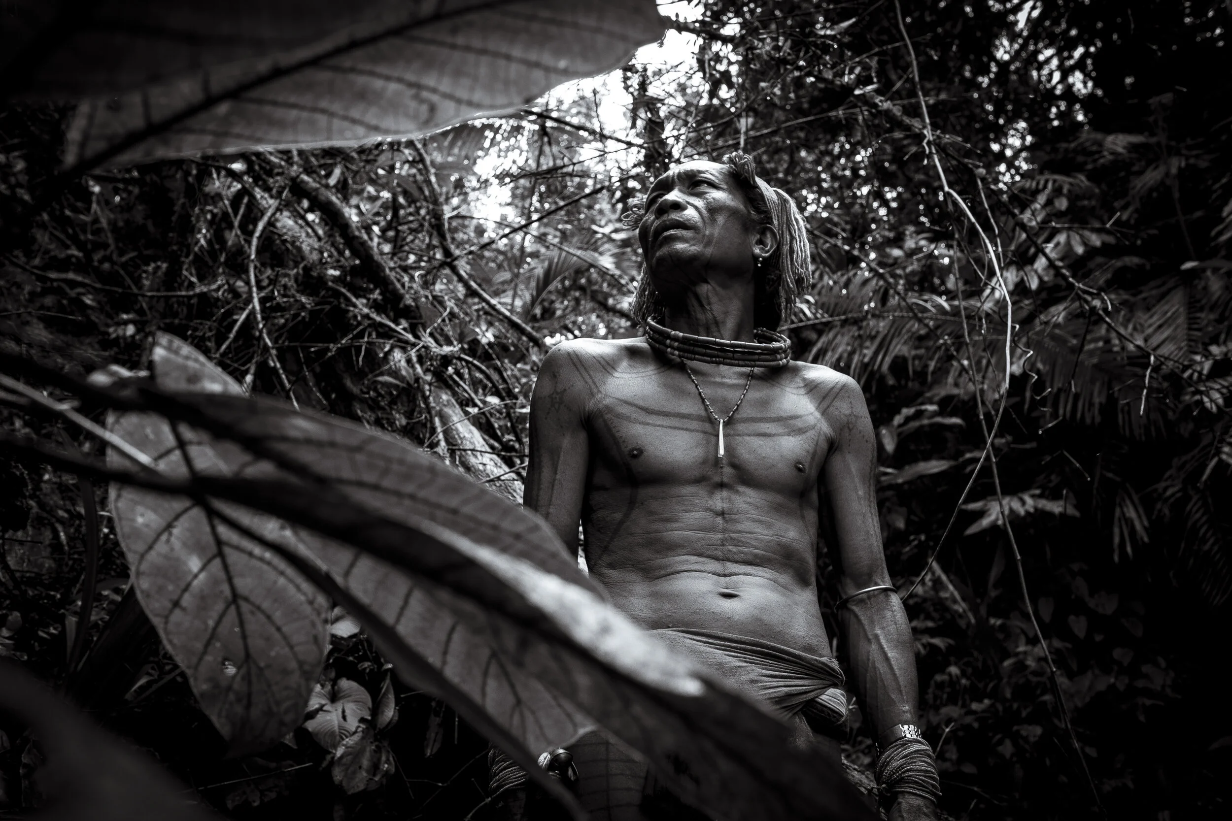  Siberut Island, Mentawai, Indonesia. Aman Masit Dere, is a medicine man or Sikerei of the indigenous tribal community that inhabit the inland jungles and mountains of the Mentawai islands west of Sumatra, Indonesia. His leathery skin is covered in t