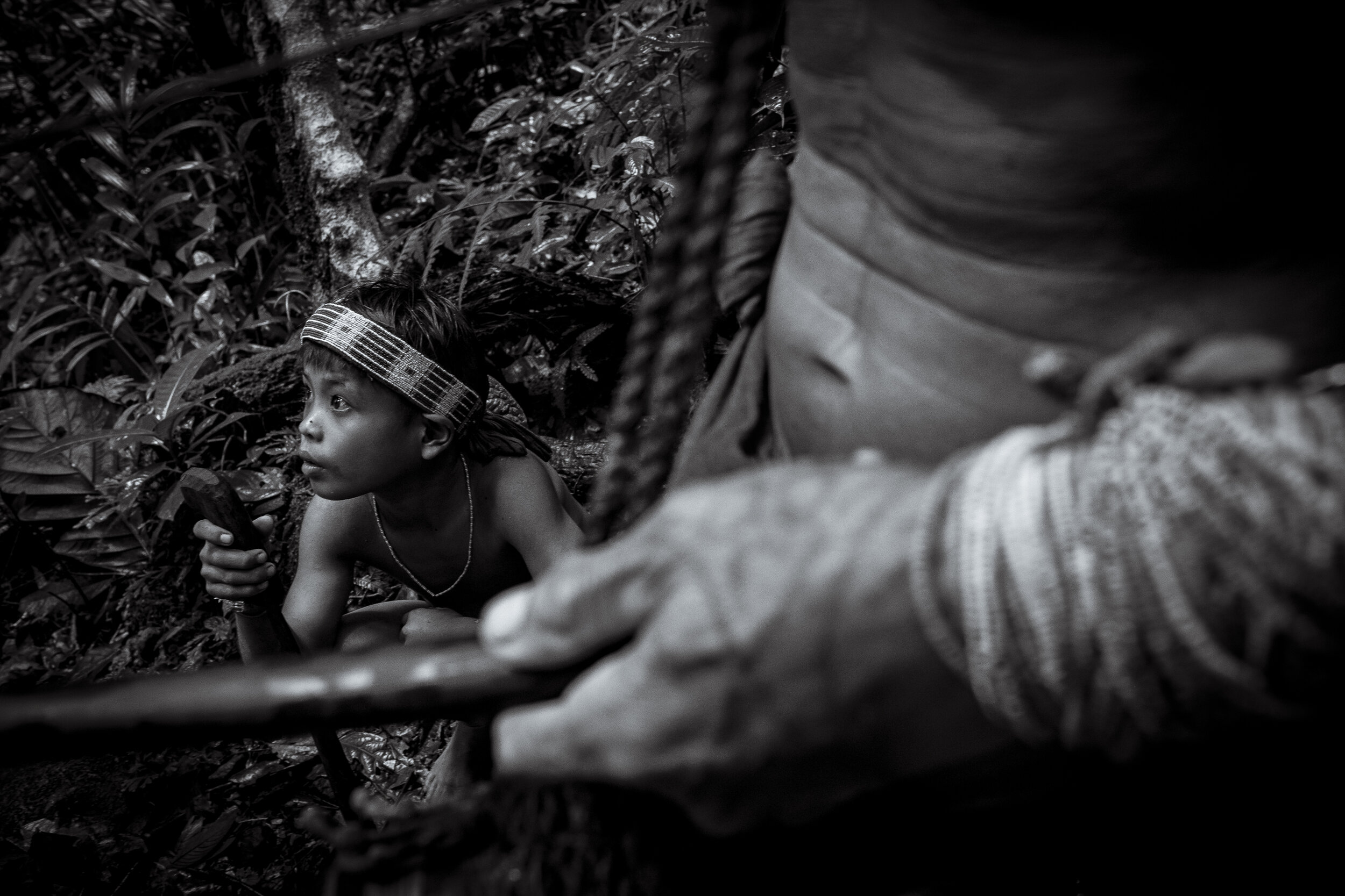  Nine year old Jumer listens and observes the actions of his grandfather Masit Dere whilst hunting and location scouting in the jungled region of Sarareiket. Like those before him, he learns all he can and all the Mentawai have ever needed to know &n