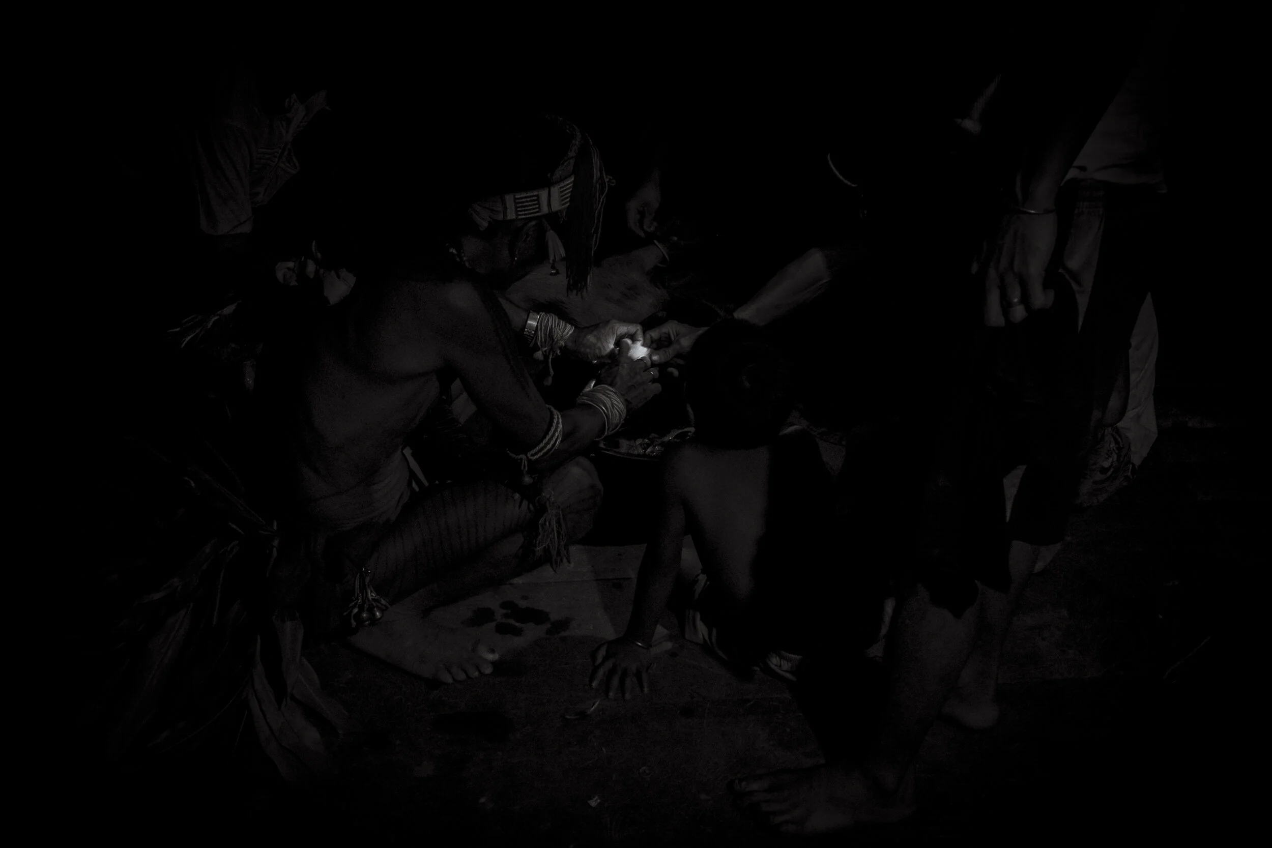  A pigs heart is inspected by the Sikerei and their sons, after it was sacrificed to appease the spirits and provide food for those at a ceremony. The Sikerei will read the veins in the heart to determine the immediate fate of their clan in the futur