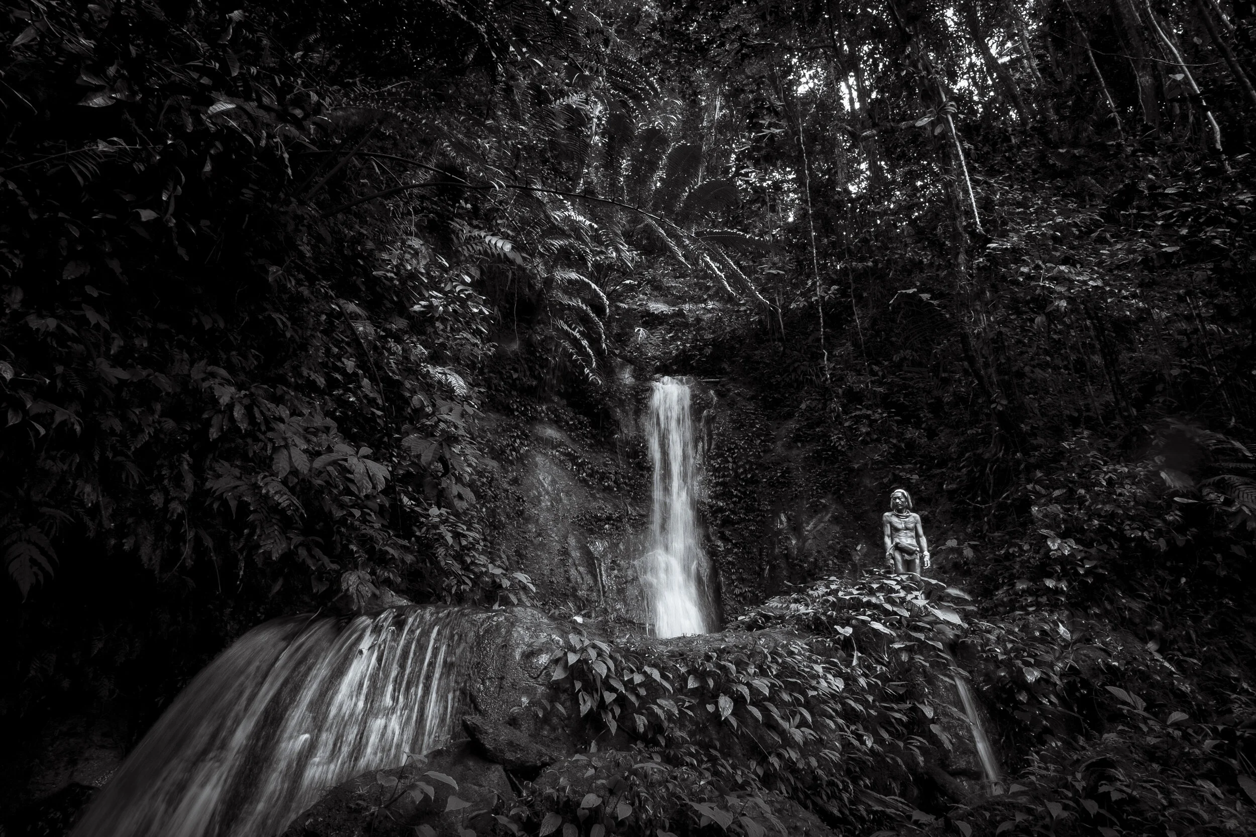  Mentawai tribesman and Sikerei (Shaman) Aman Masit Dere oversees his lands &nbsp;amid the tropical rainforest deep in the Sarereiket regions of Siberut Island. 