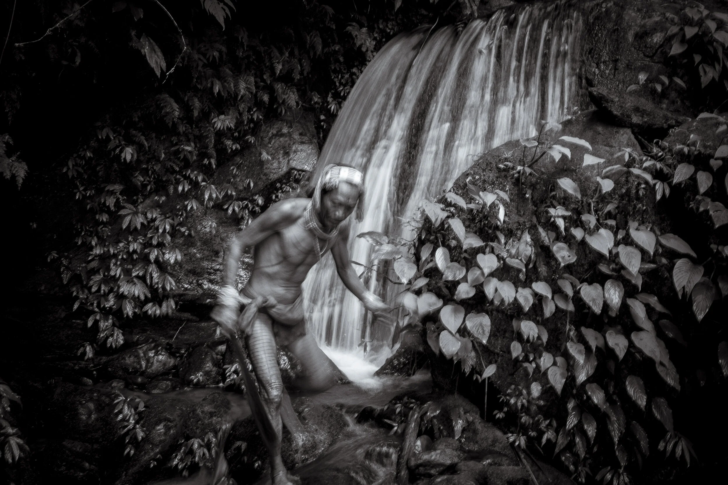  The Sikerei have a deep knowledge of the jungle and the resources it can provide. As the regions Medicine men they are sought after by locals with health issues and expected to treat them to a full recovery. With the onset of modernity comes with it