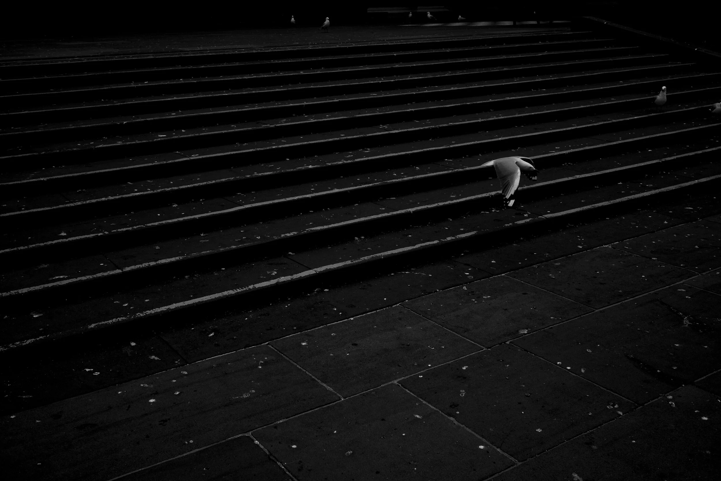  18/04/20 15:28pm State Library of Victoria, Melbourne. On a Saturday afternoon the steps outside the State Library are a place for reading, quiet lunches, reflection and often the place for public gatherings and protests. Today they are frequented o