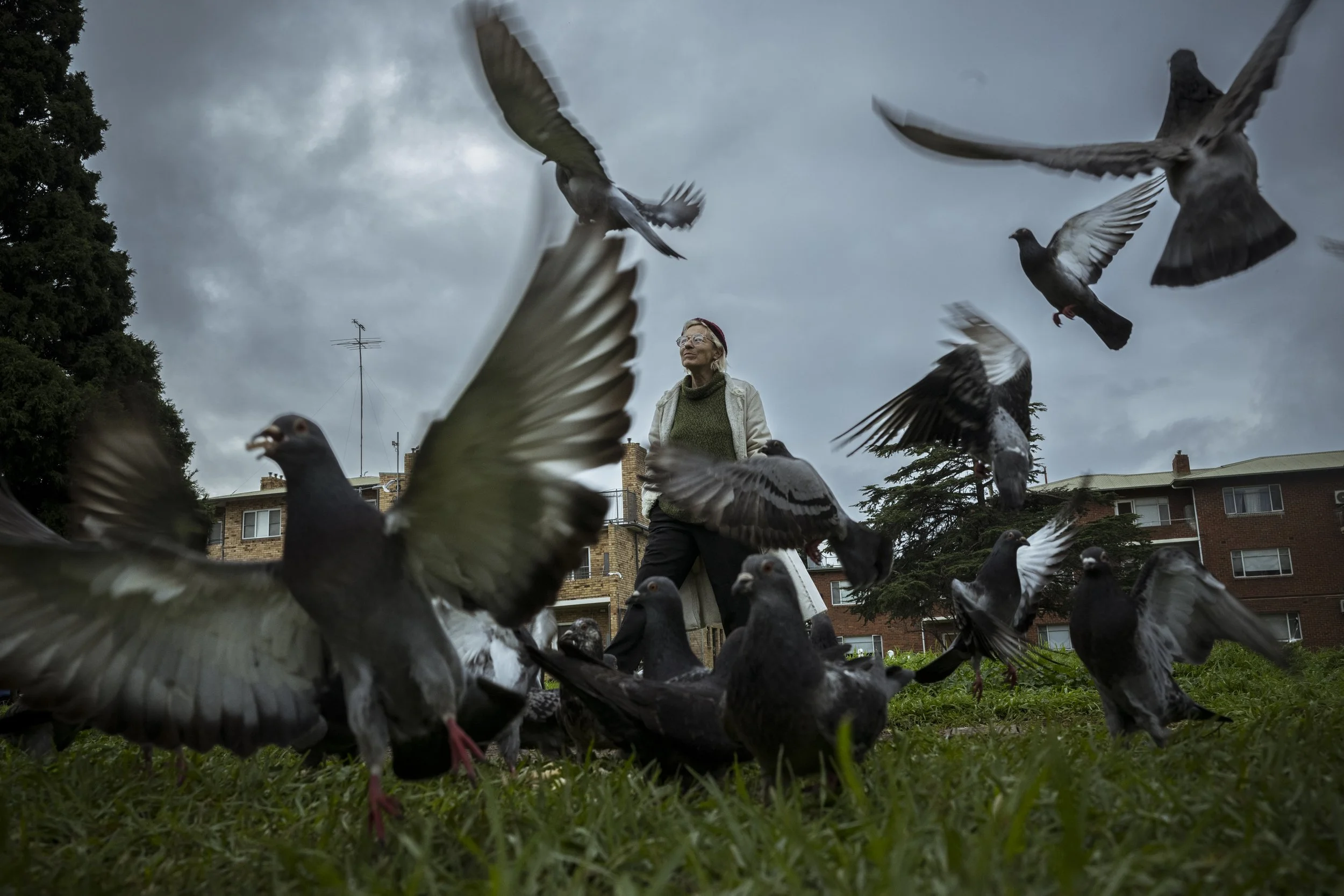  1st July 2022. Ascot Street, Ascot Vale, Australia. Clare Hanson, resident at the Ascot Vale 'Walk-Up's' walks through a flock of the ever present public housing pigeons.   For five years  Hanson has fought a losing battle against the Dan Andrews le
