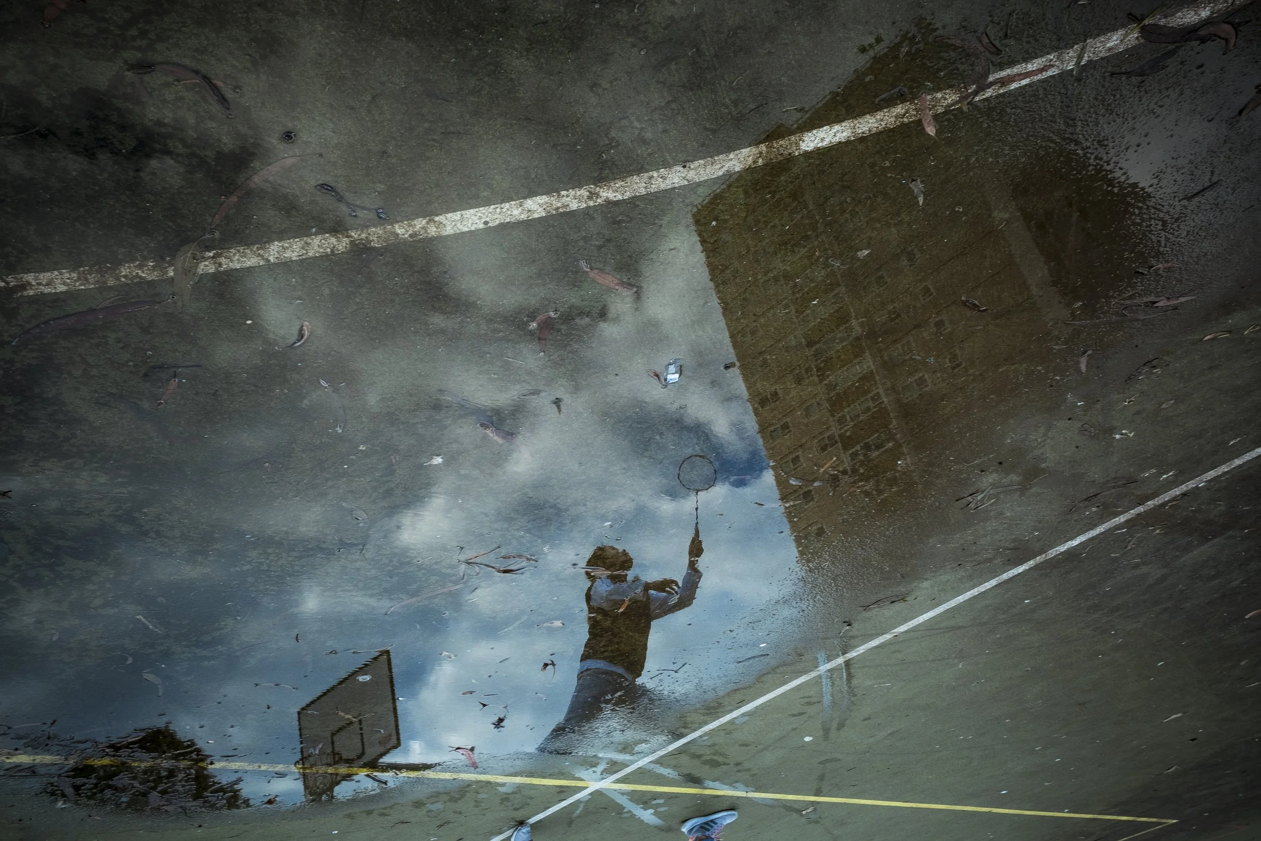  9 July 2020. Wellington Street, Collingwood, Australia. A resident playing badminton is dwarfed by the Collingwood public housing flats reflected in a puddle at Unity Park. 