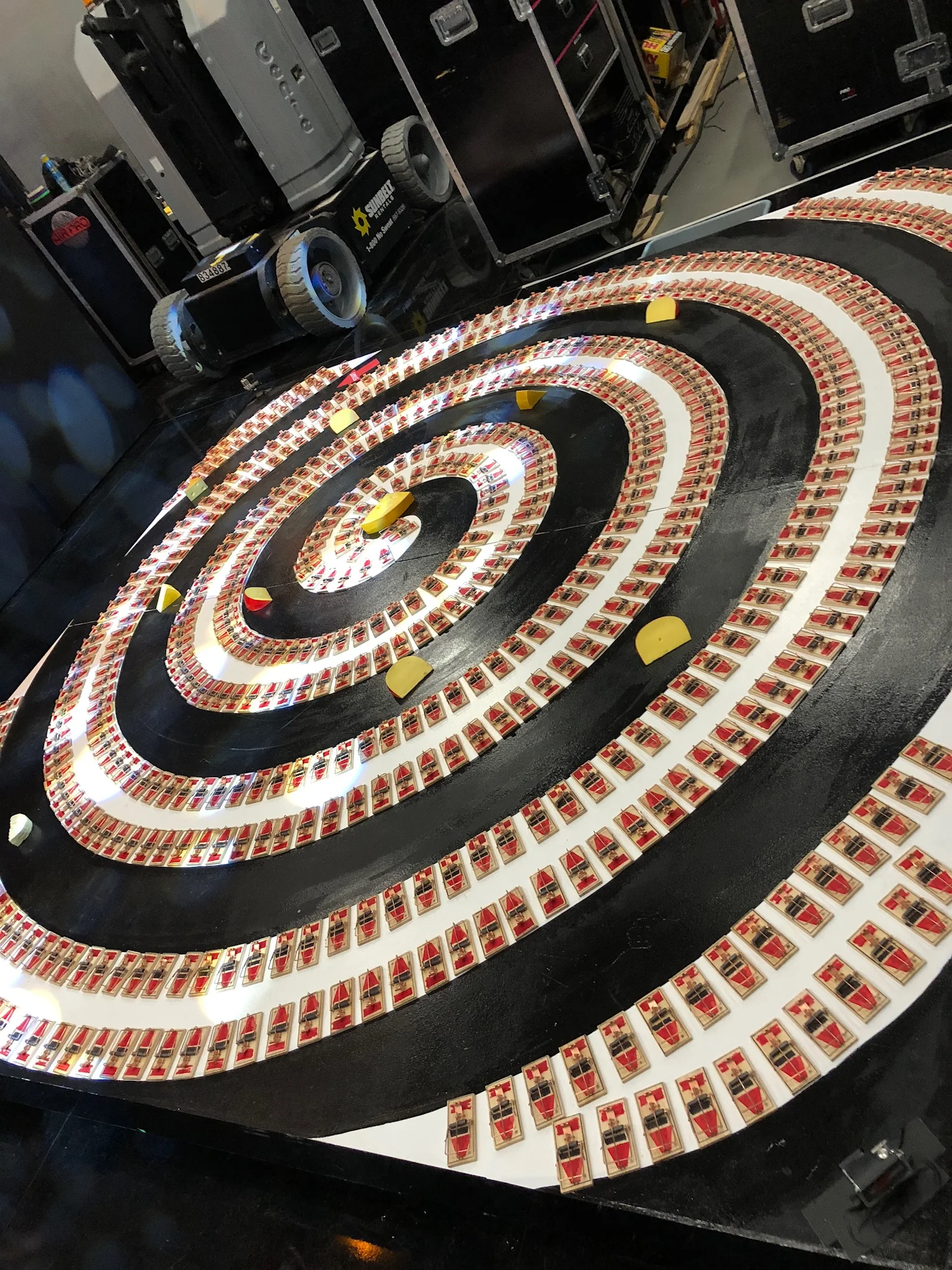 Giant  Mouse Trap Maze (Copy)