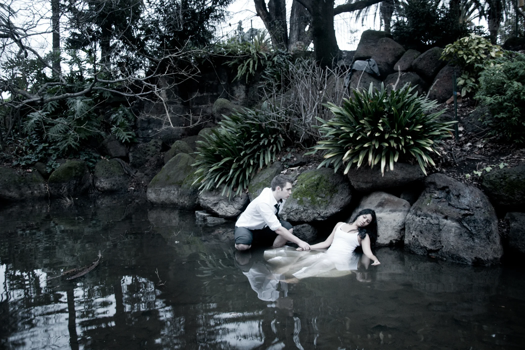 pond.jpg