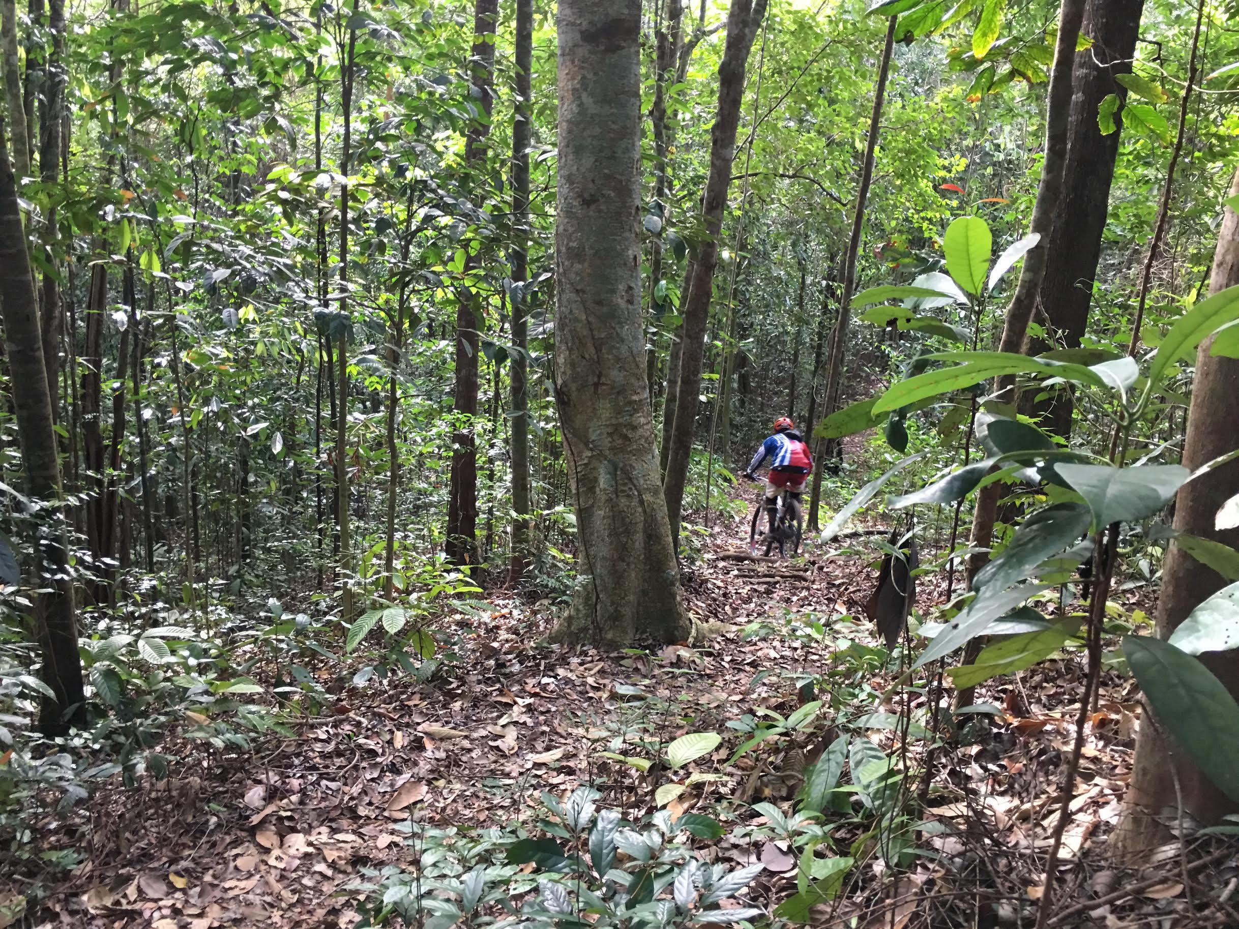 Gurkha trail 2.jpg