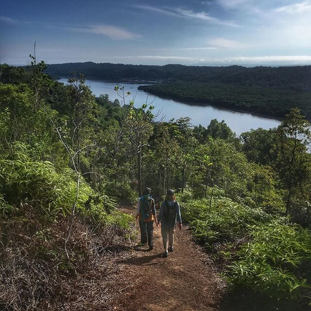 &ldquo;Nature is not a place to visit. It&rsquo;s a home.&rdquo; - Gary Snyder #adventures #borneo #brunei #kingdomrides #hikeandbikebrunei #travelgram #jungle #exploreoutdoors #bruneitourism #thingstodoinbrunei #vacation #travelphotography #borneovi