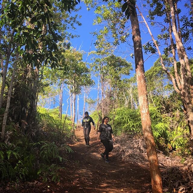 Blue Skied an&rsquo; Clear! #adventures #borneo #brunei #kingdomrides #hikeandbikebrunei #travelgram #jungle #exploreoutdoors #bruneitourism #thingstodoinbrunei #thingstodoinbrunei