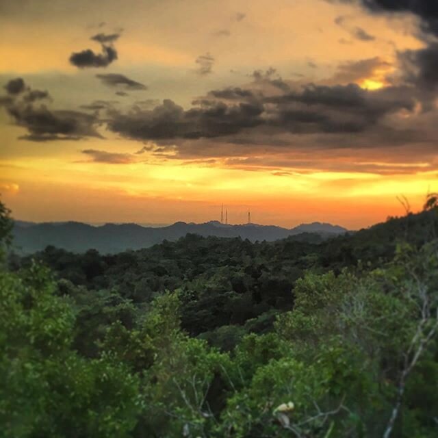 Another satisfying sunset in Borneo. Come and catch one with us! #adventures #borneo #brunei #kingdomrides #hikeandbikebrunei #travelgram #jungle #igersbrunei #exploreoutdoors #bruneitourism #thingstodoinbrunei