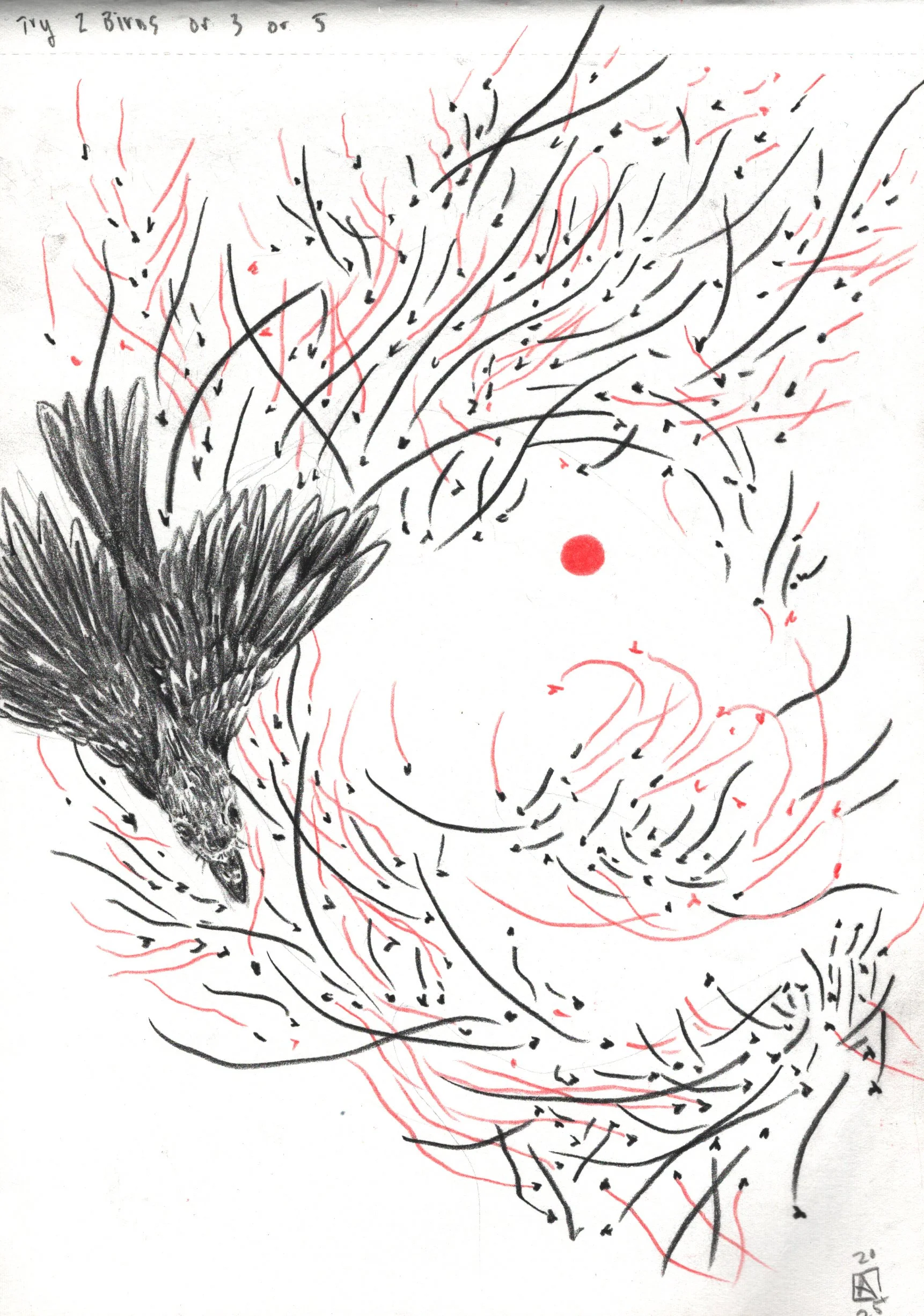 Path of Wood Thrush Notes Print 5x7