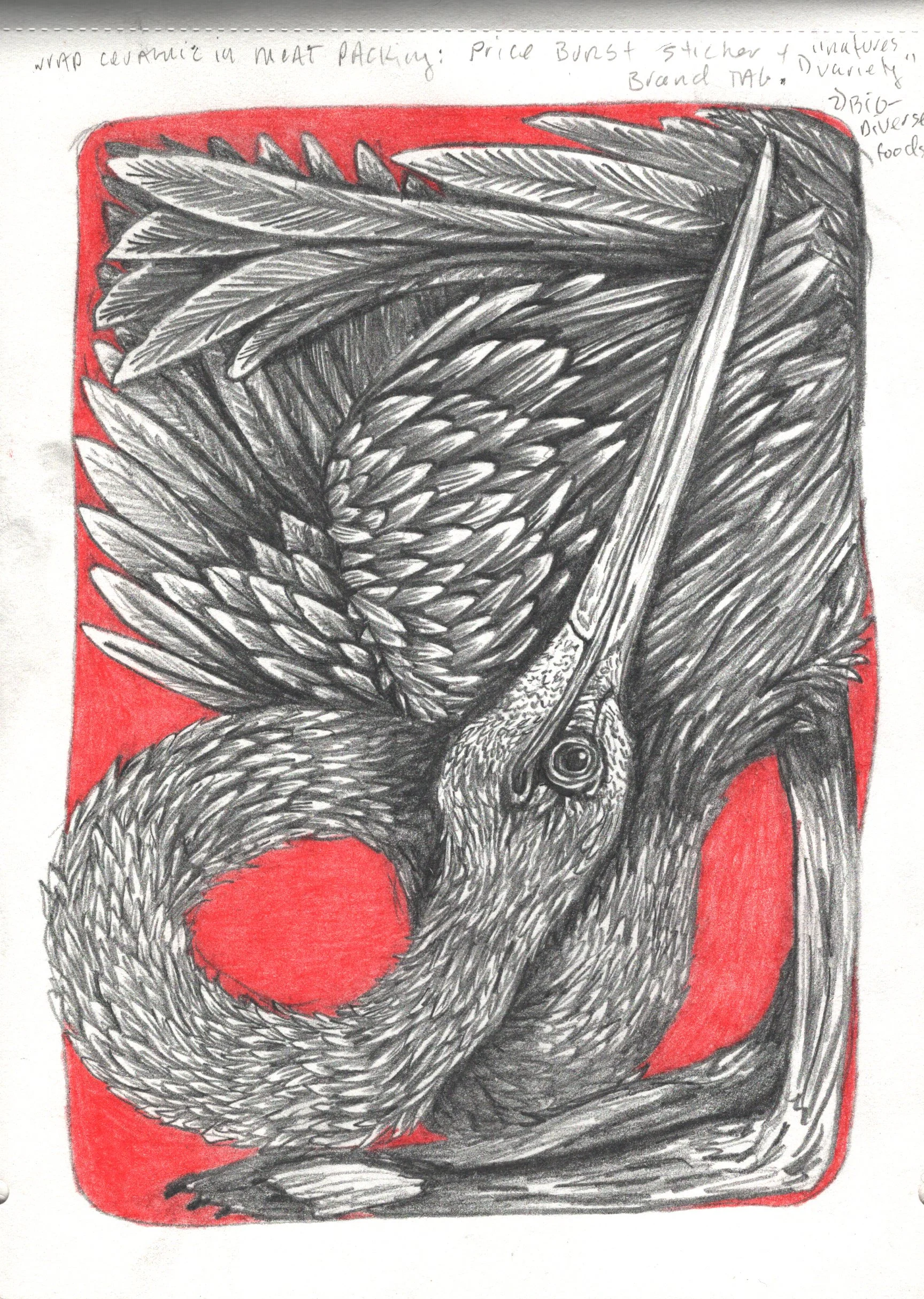 Compartment D Print 5x7