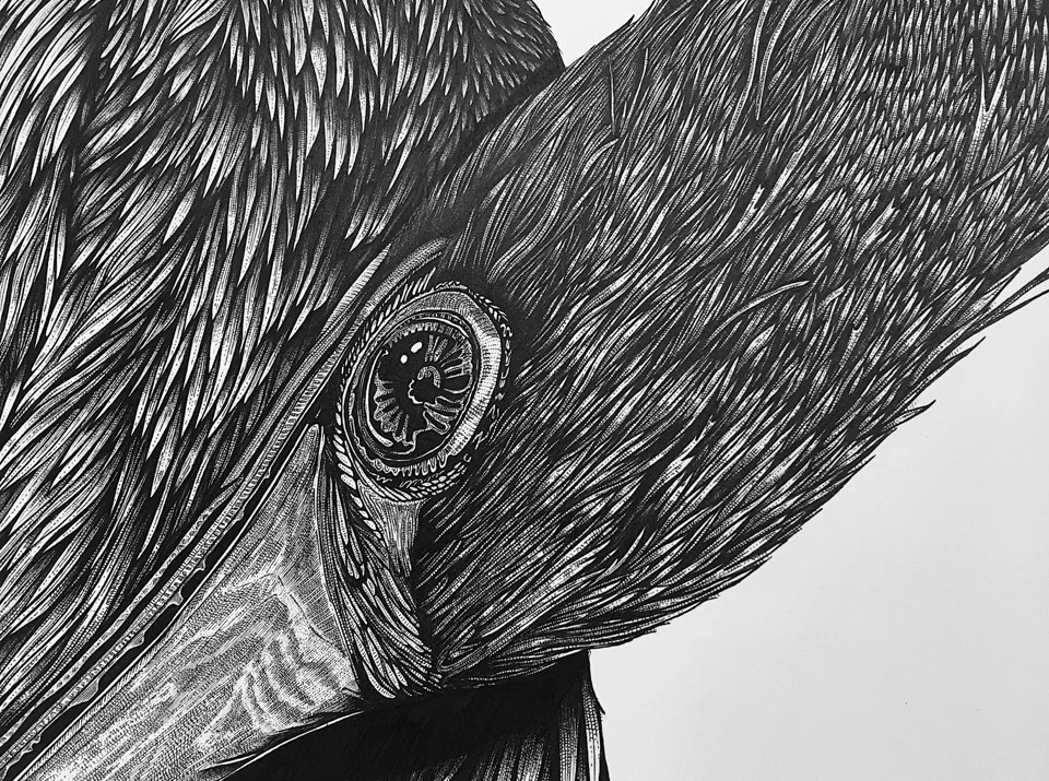 The Great Blue Heron & Anhinga Project