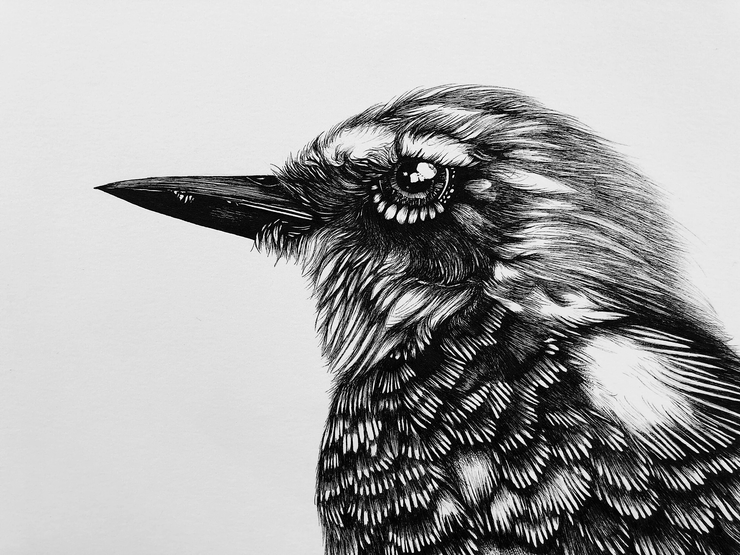 Original Art In Black Ink Collection