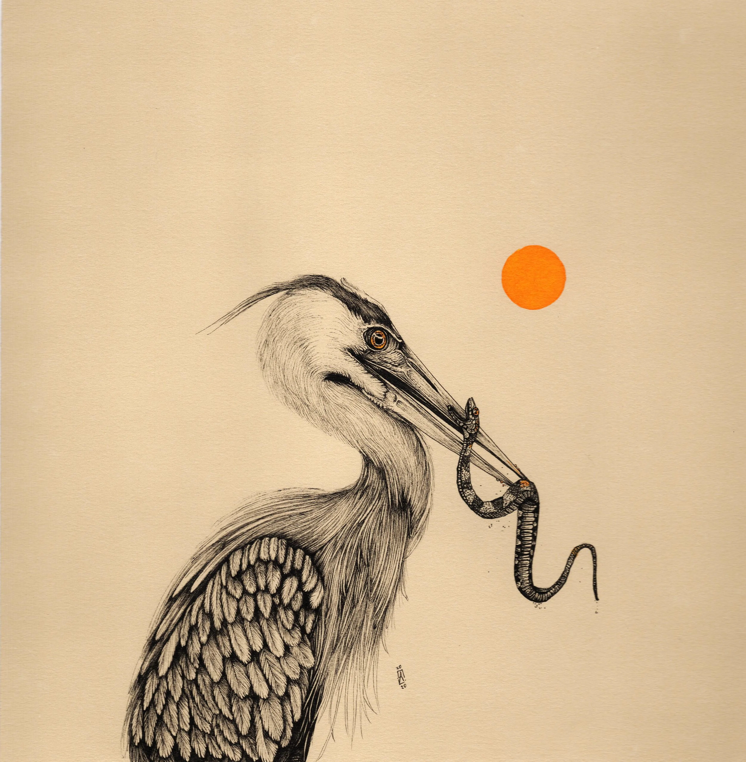 Great-Blue-Heron-10x10-2020-Andrew-Naeger.jpg