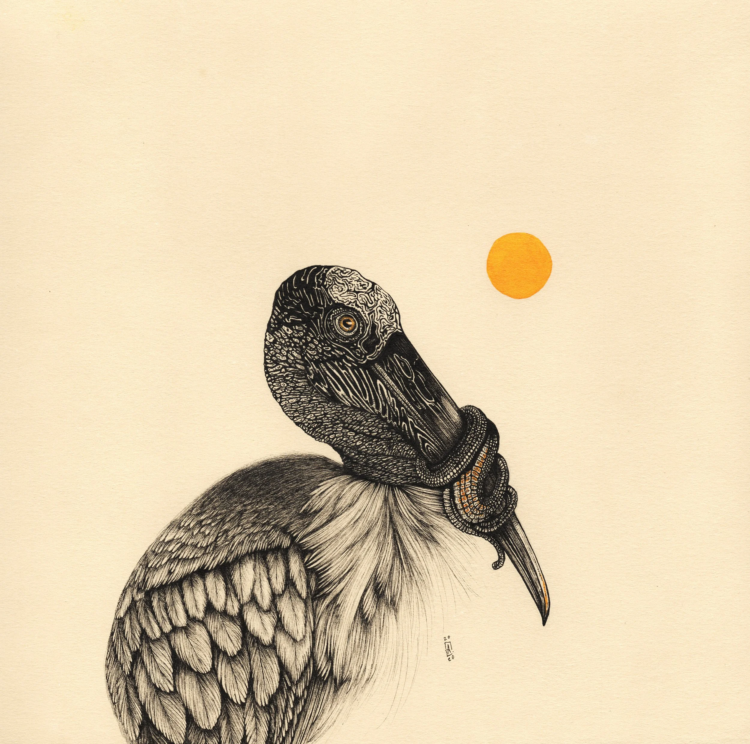 Woodstork-10x10-2020-Andrew-Naeger.jpg