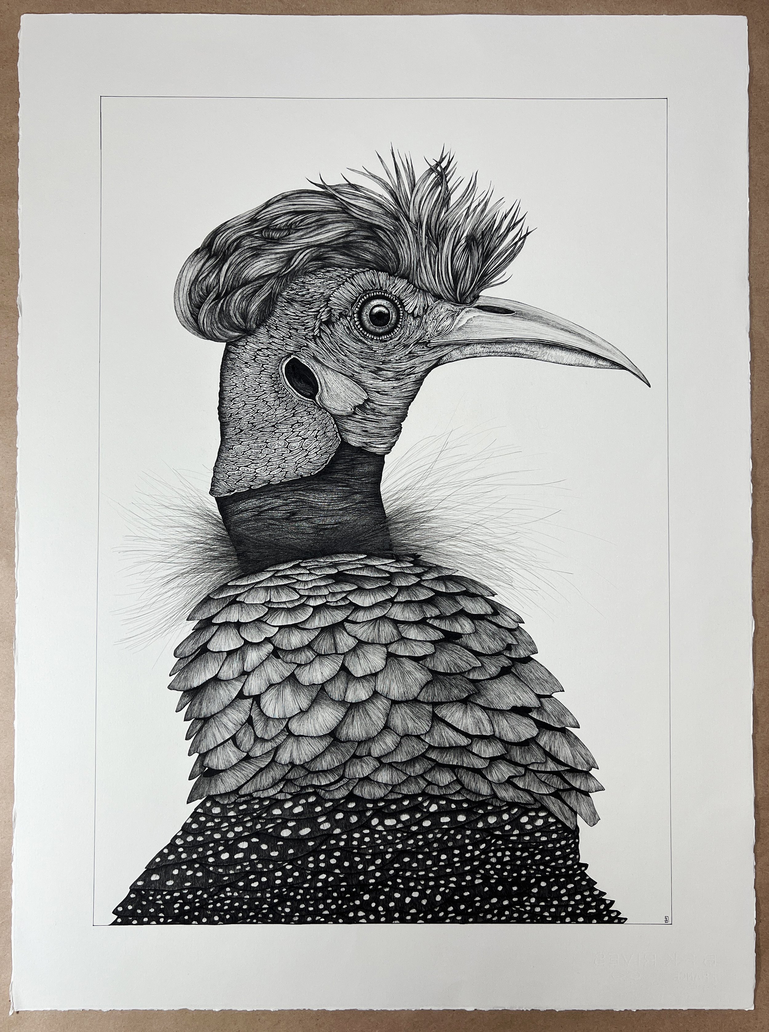 22" X 30" - "Tony, the Punk, Crested Guinea Fowl" Original Ink Drawing