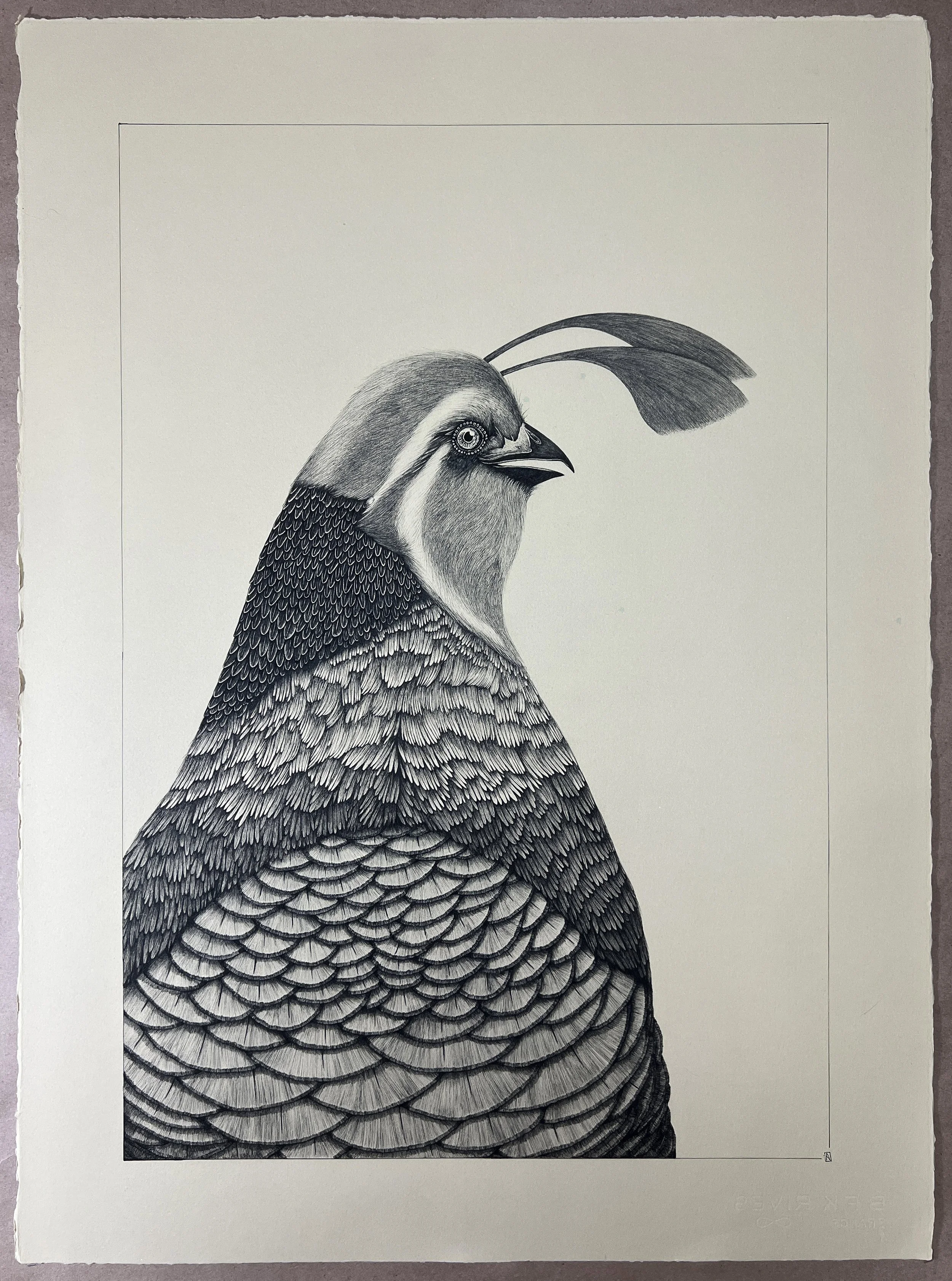 22" X 30" - "Marion, Have a Drink, California Quail" Original Ink Drawing