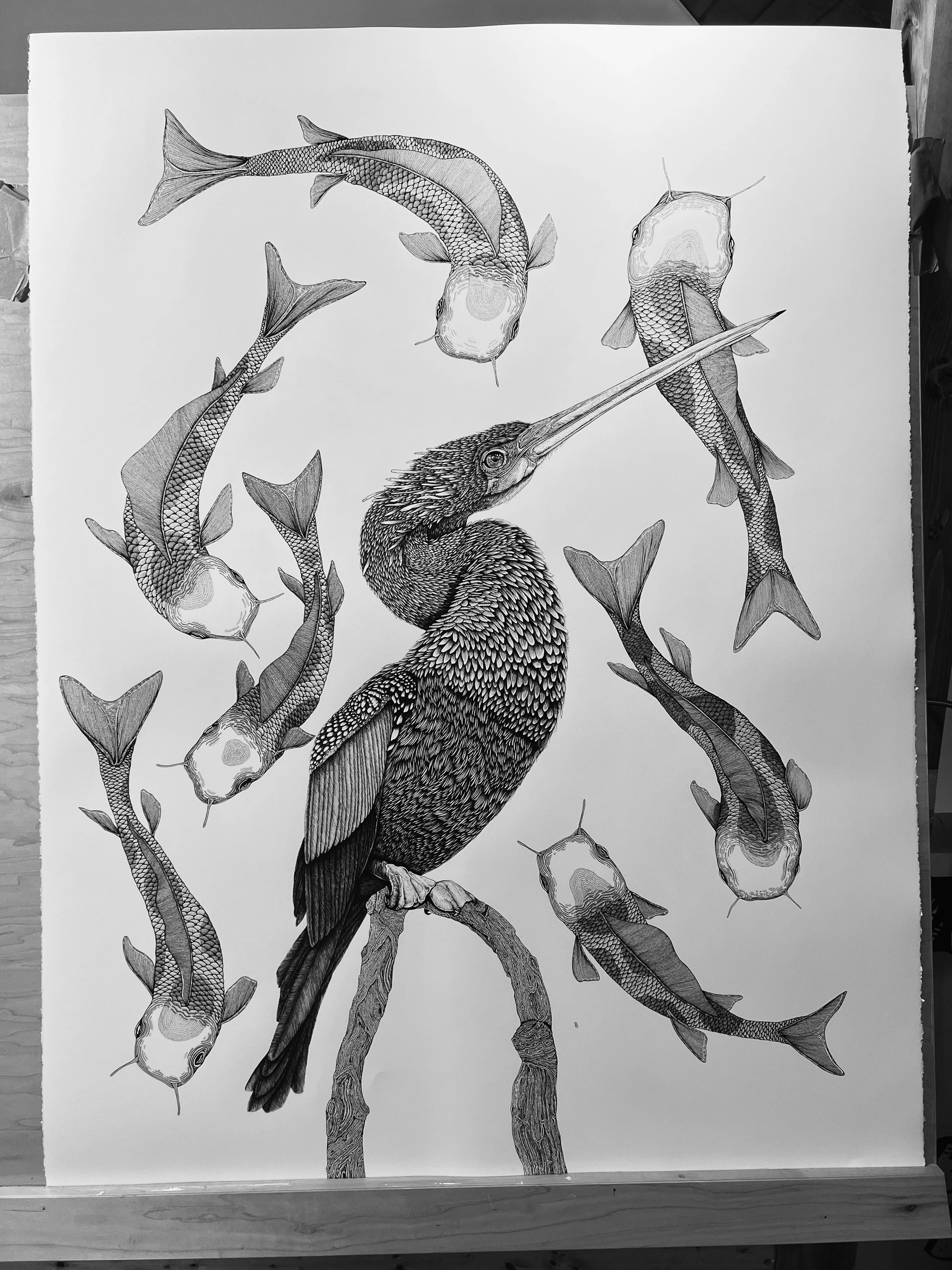 38" X 48" - "Koi Dreaming" Original Ink Drawing